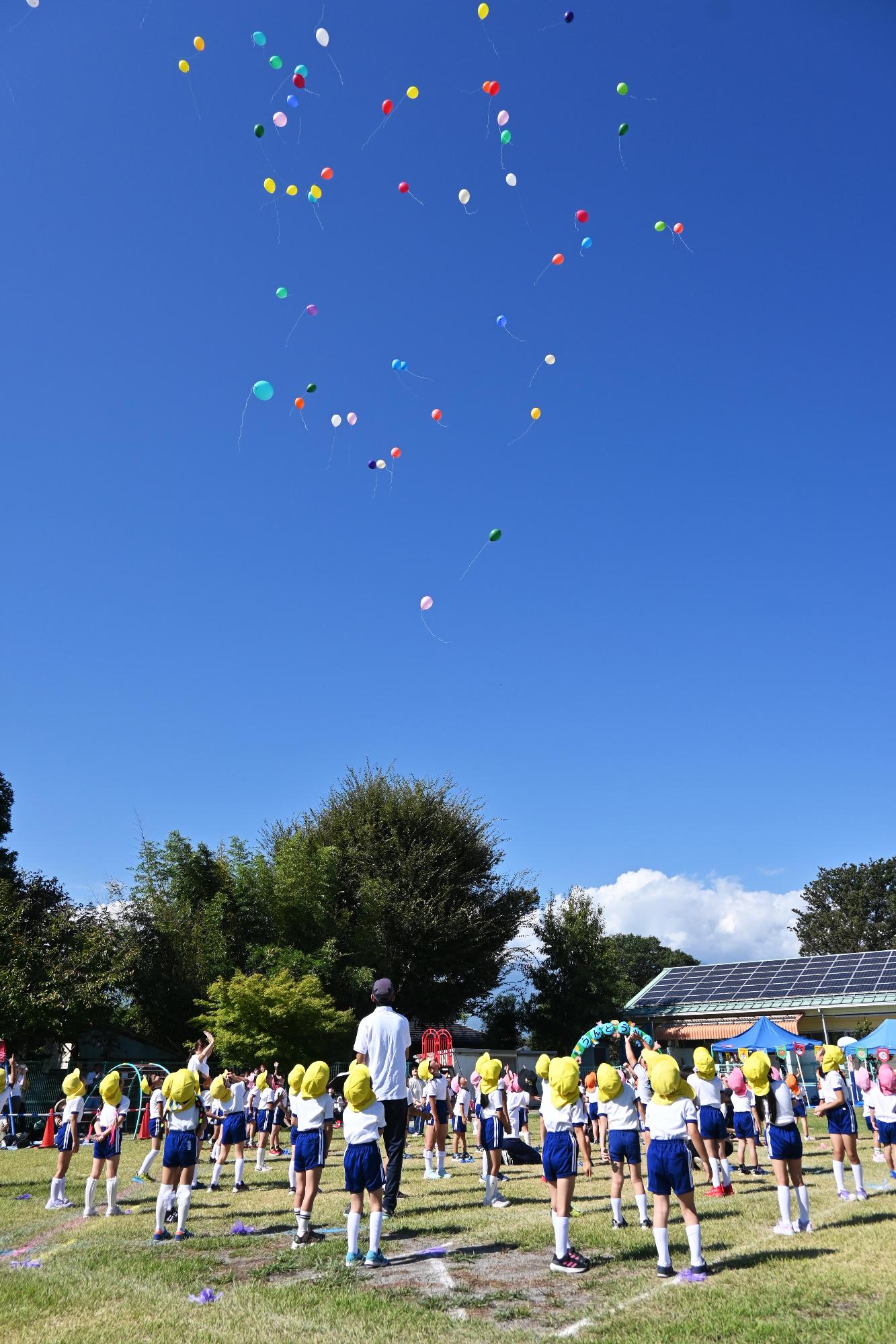 中央保育園運動会15