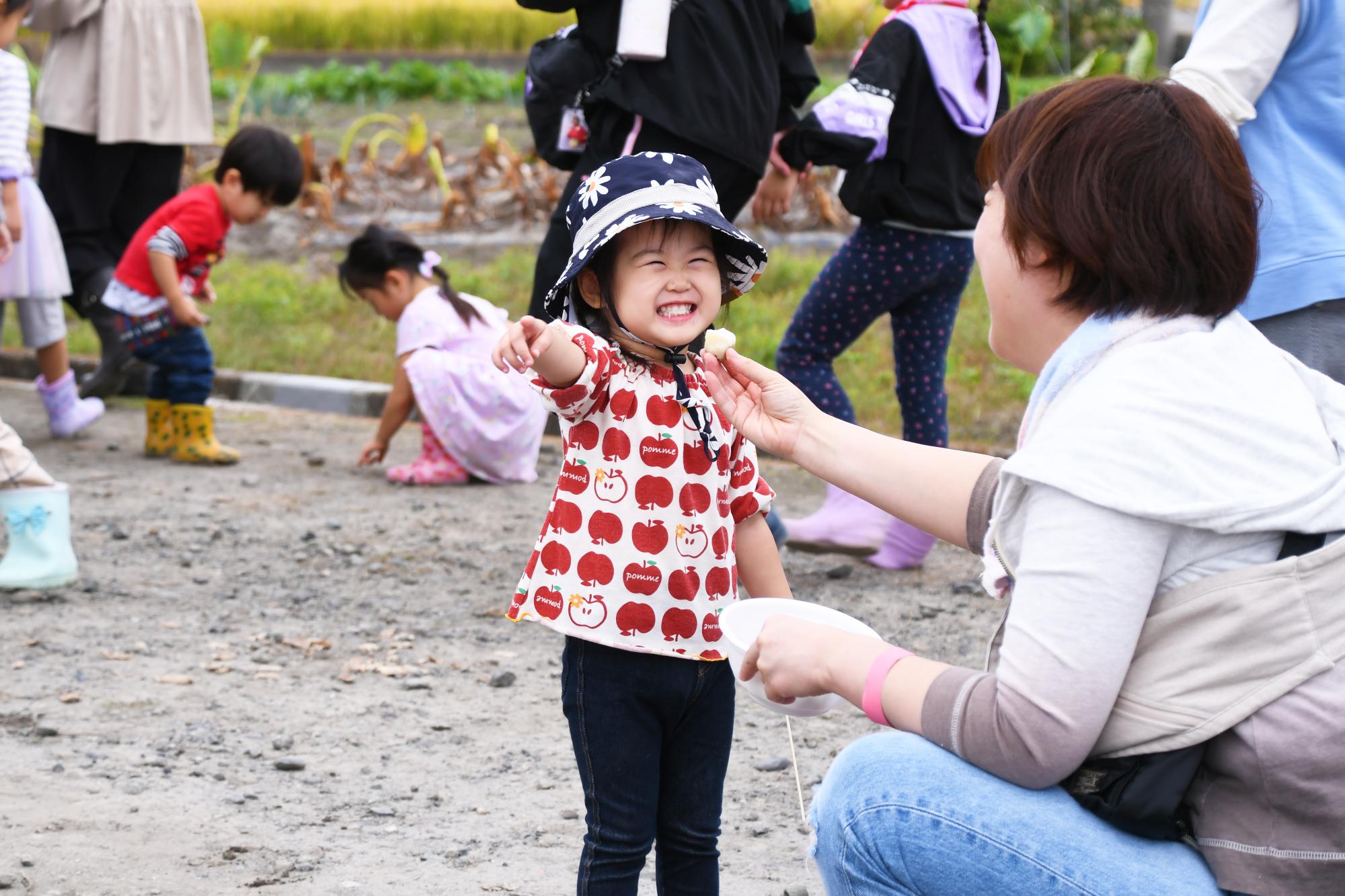 20241026親子やはたいも掘り写真10