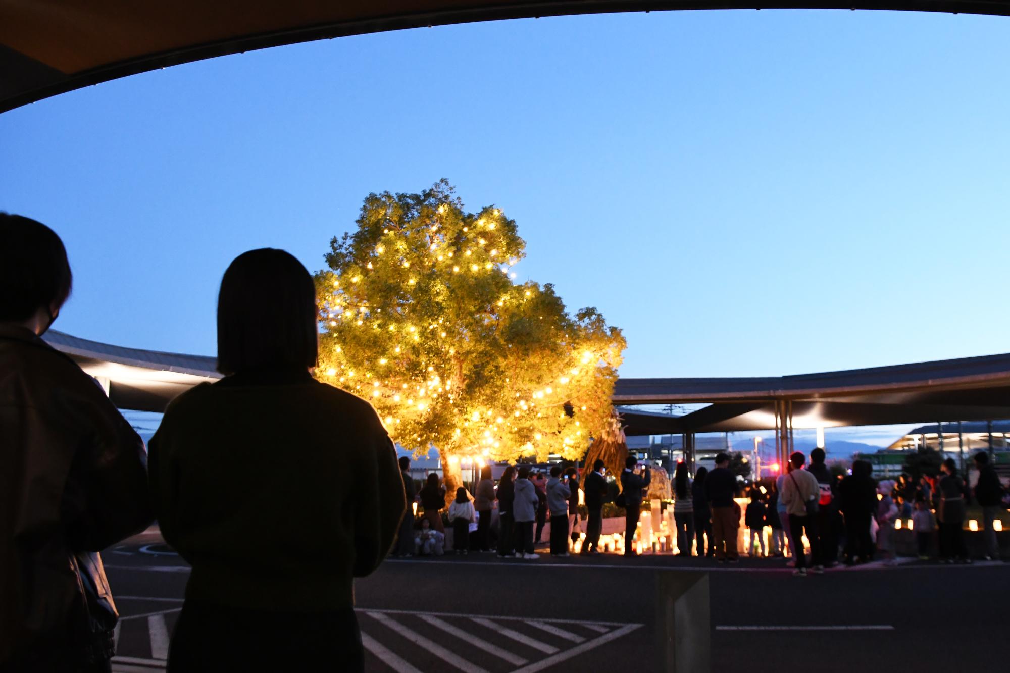 20241109竜王駅イルミネーション点灯式5