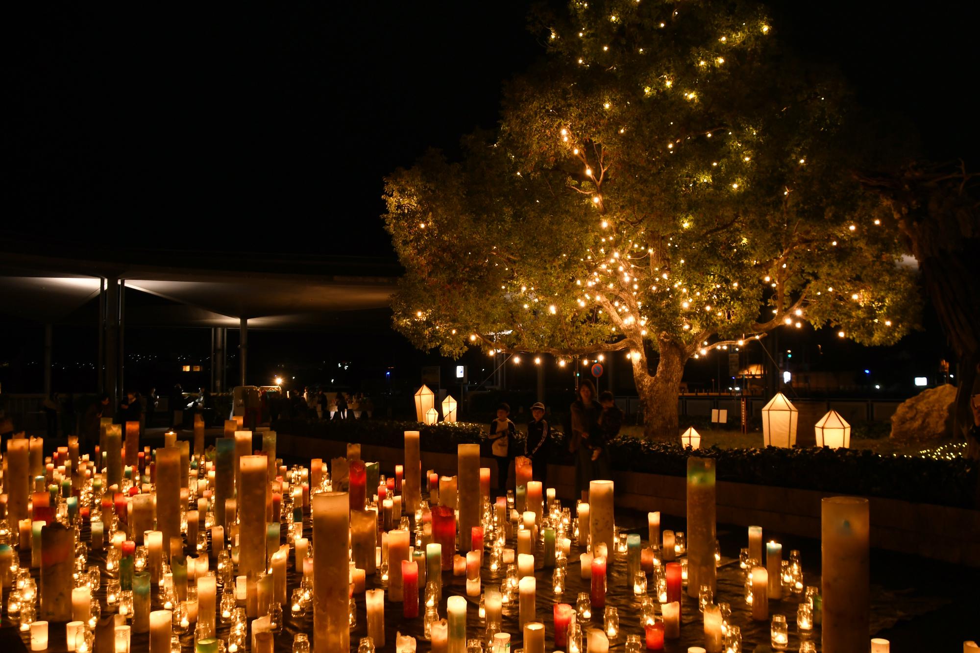 20241109竜王駅イルミネーション点灯式14