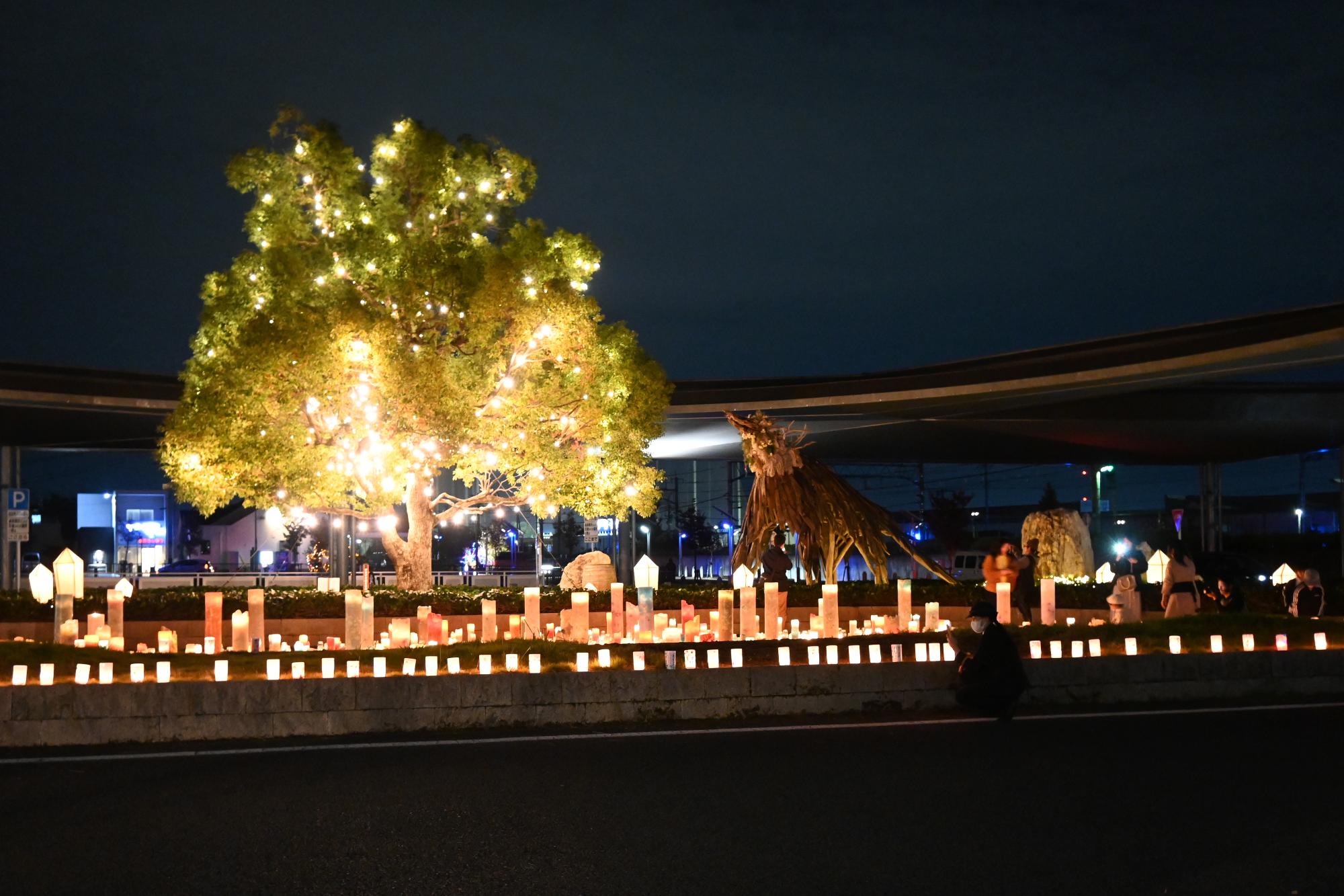 20241109竜王駅イルミネーション点灯式16