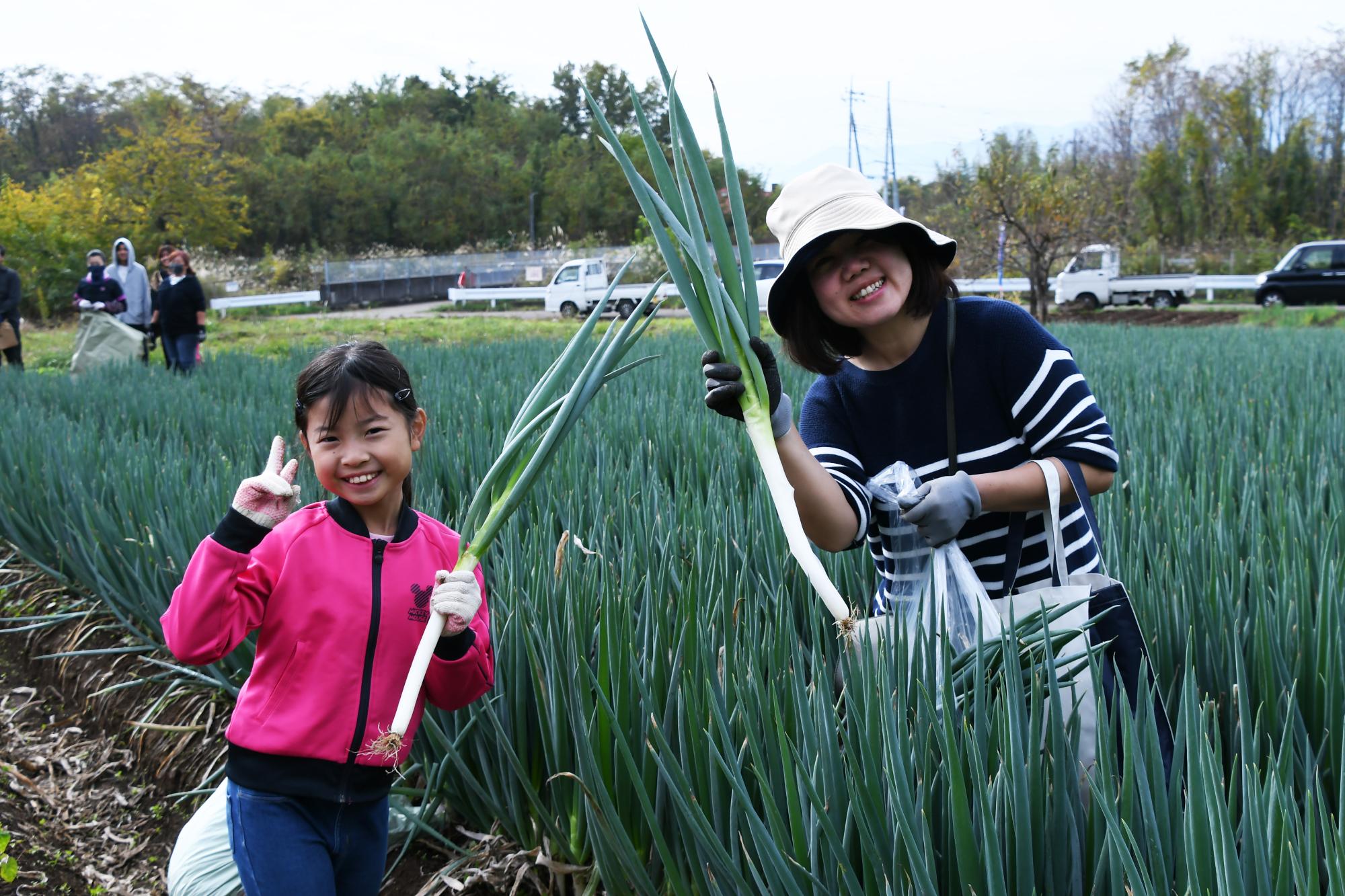 20241116親子ぎゅぎゅっとねぎ収穫7