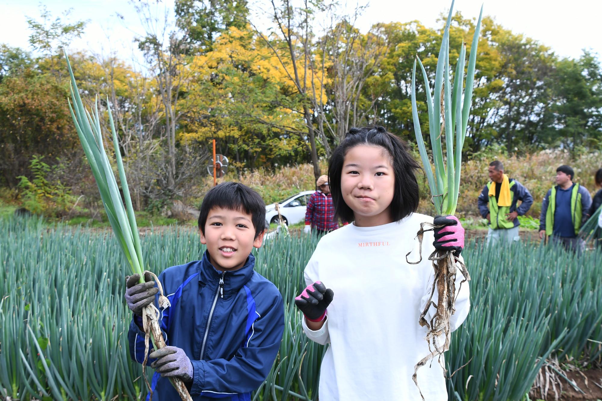 20241116親子ぎゅぎゅっとねぎ収穫10