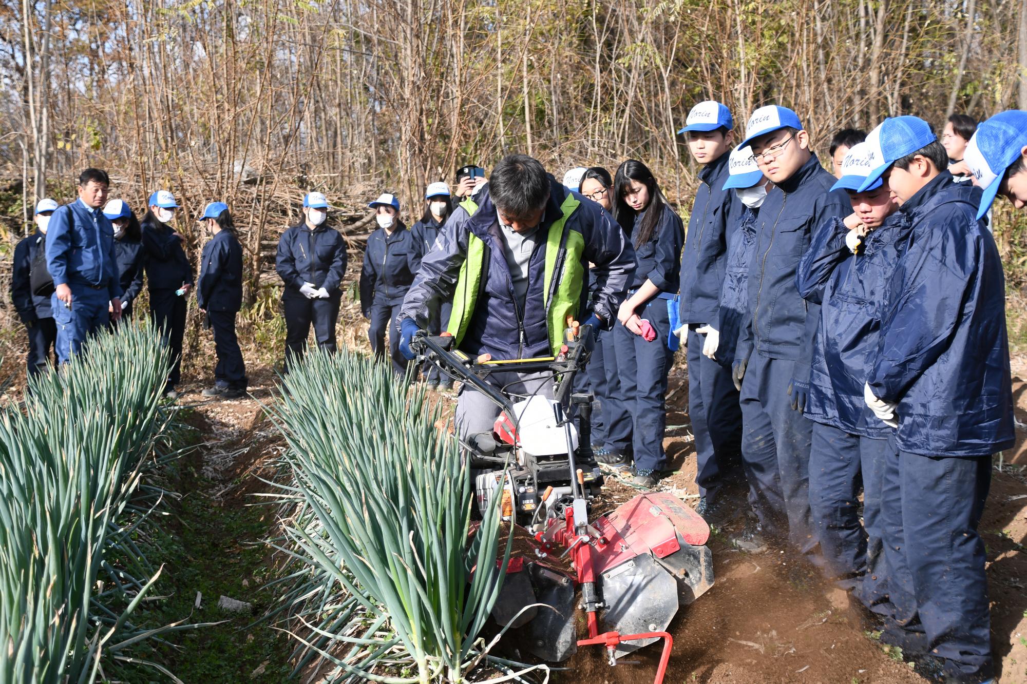 20241211甲斐のぎゅぎゅっとねぎ収穫体験授業1
