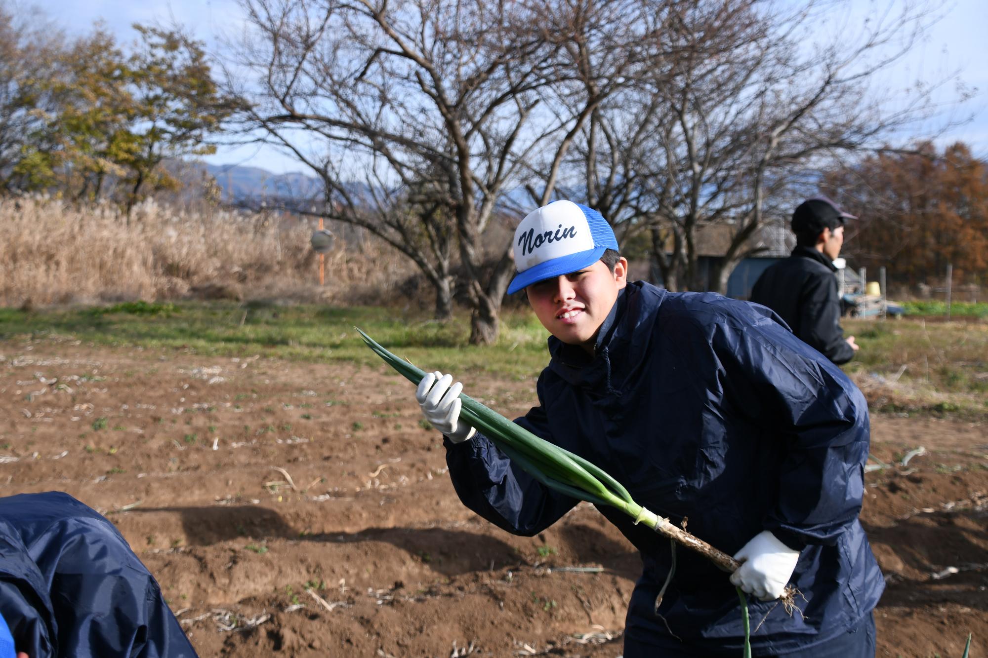 20241211甲斐のぎゅぎゅっとねぎ収穫体験授業2