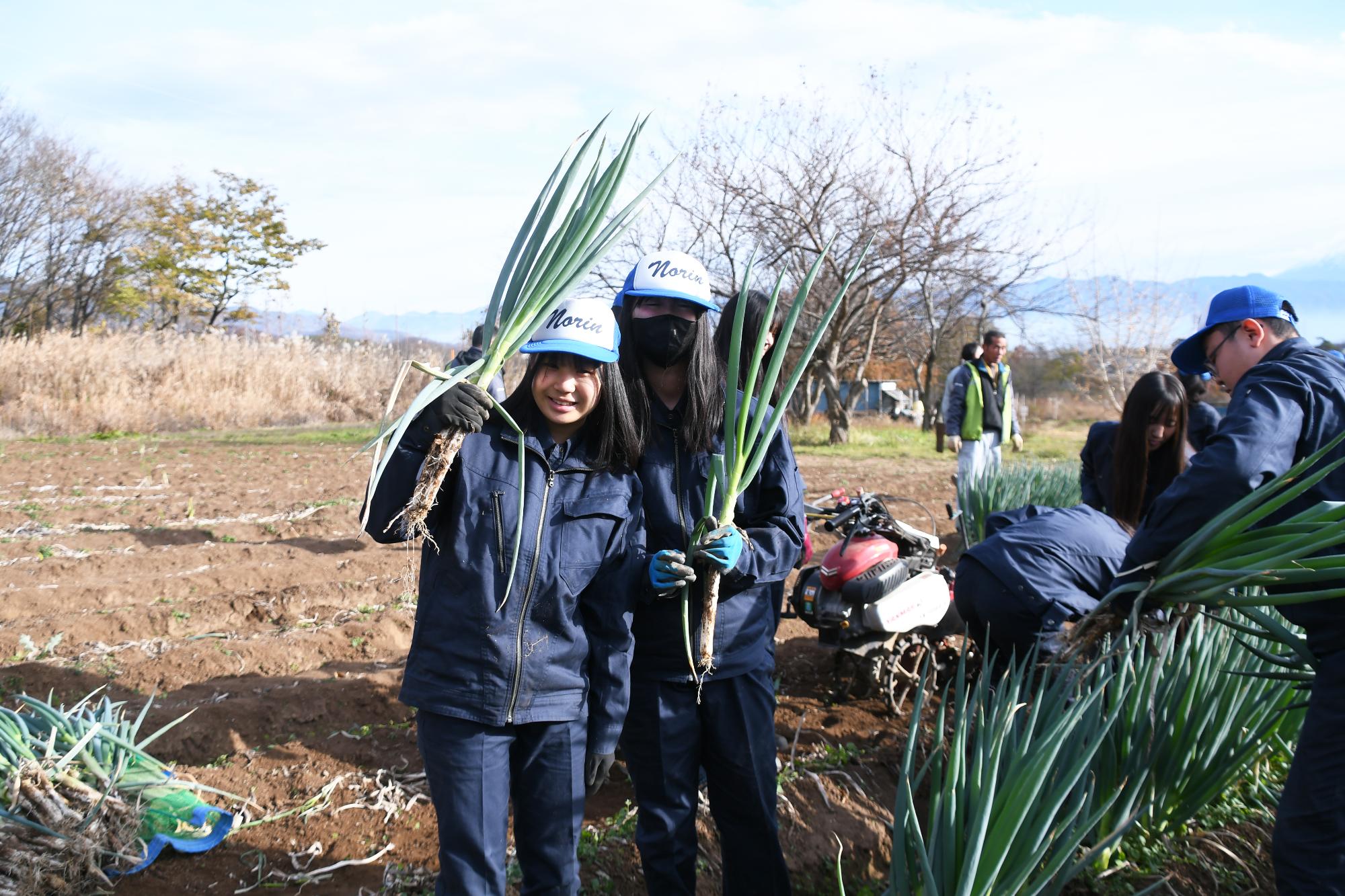20241211甲斐のぎゅぎゅっとねぎ収穫体験授業4
