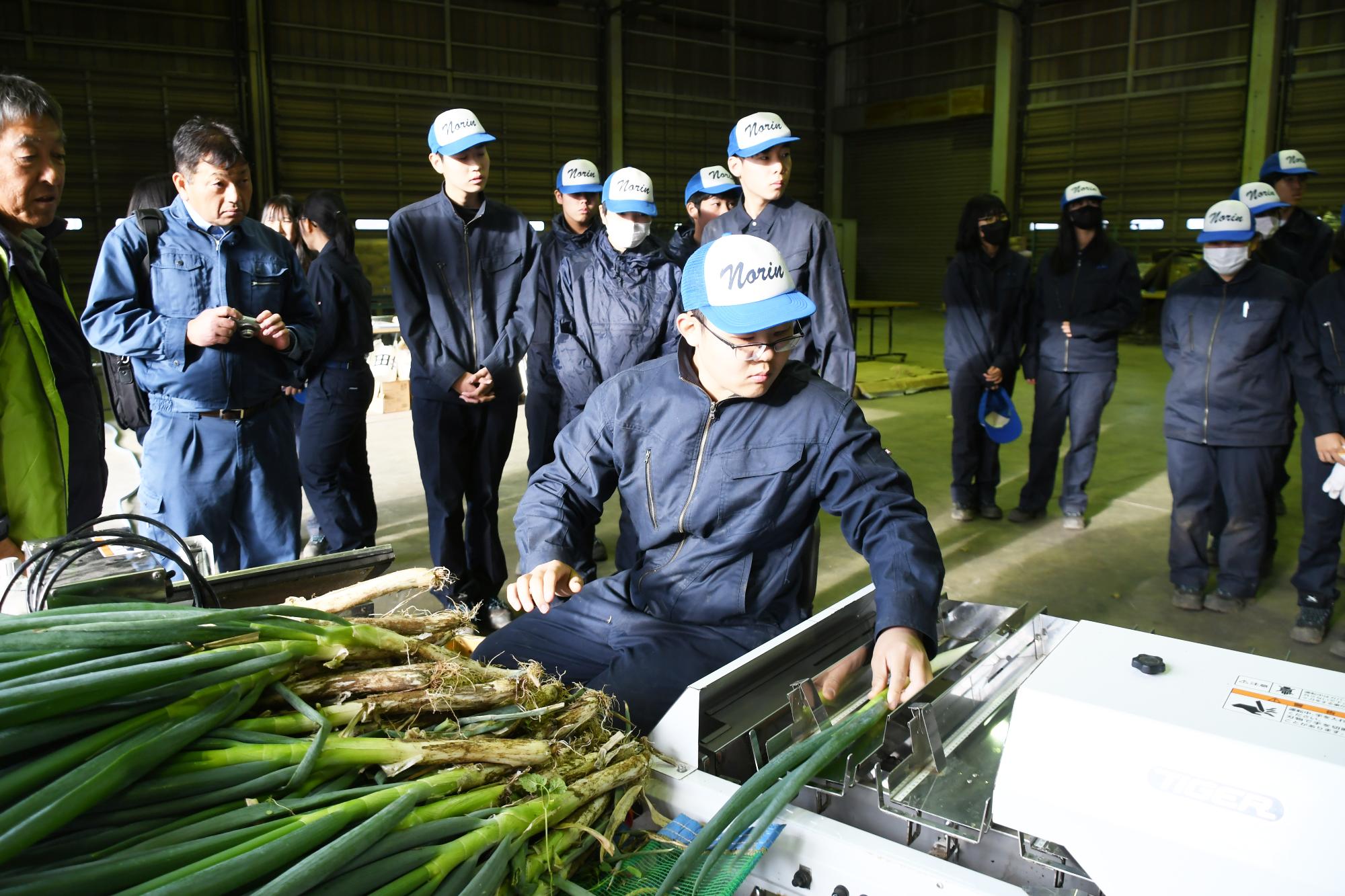 20241211甲斐のぎゅぎゅっとねぎ収穫体験授業6
