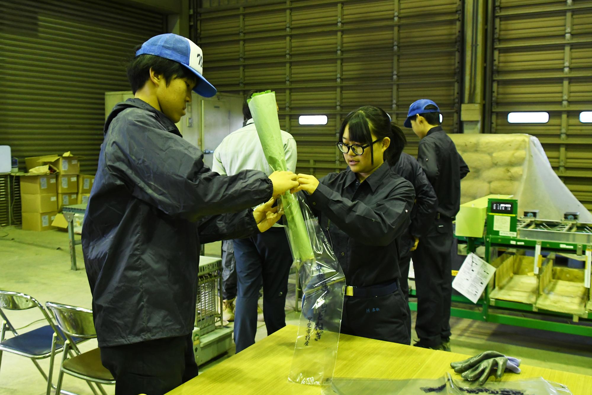 20241211甲斐のぎゅぎゅっとねぎ収穫体験授業7