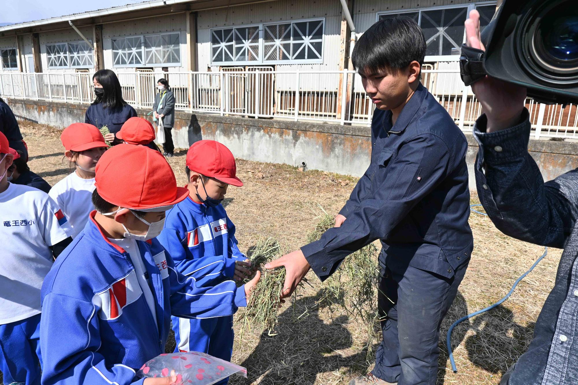 農林高校イチゴ狩り4097