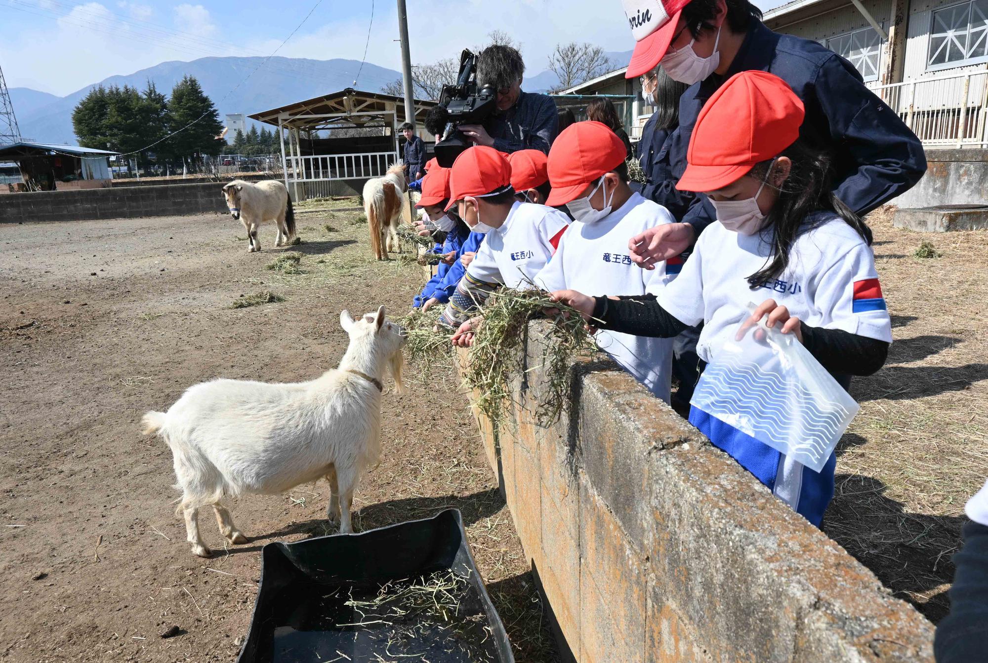 農林高校イチゴ狩り4112