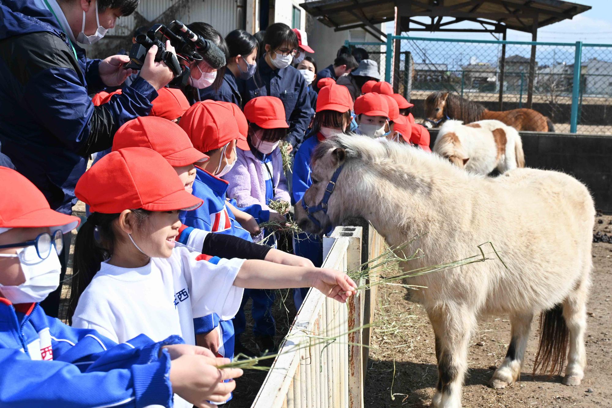 農林高校イチゴ狩り4120