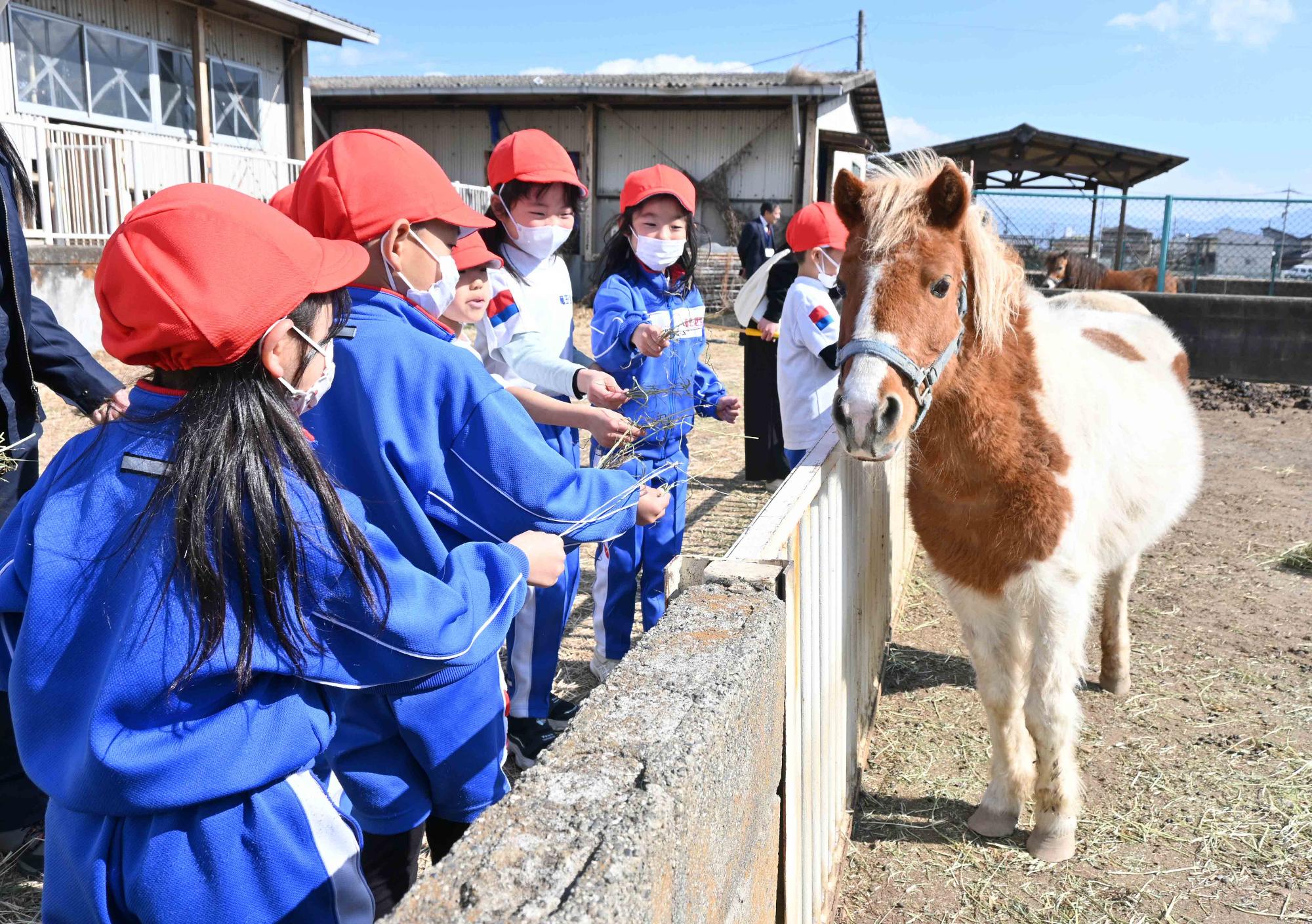 農林高校イチゴ狩り4162