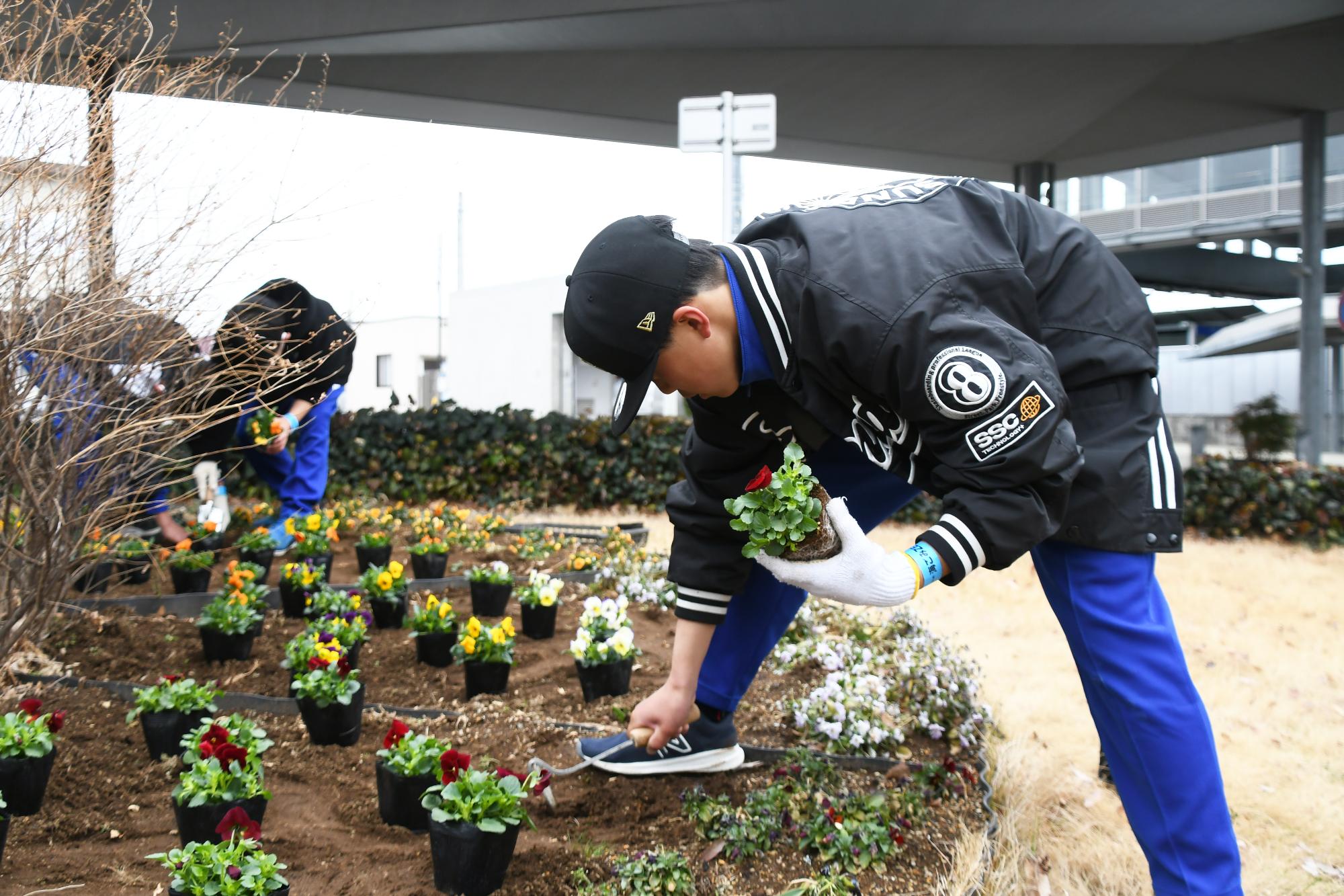 20250304竜王小学校清掃美化活動5