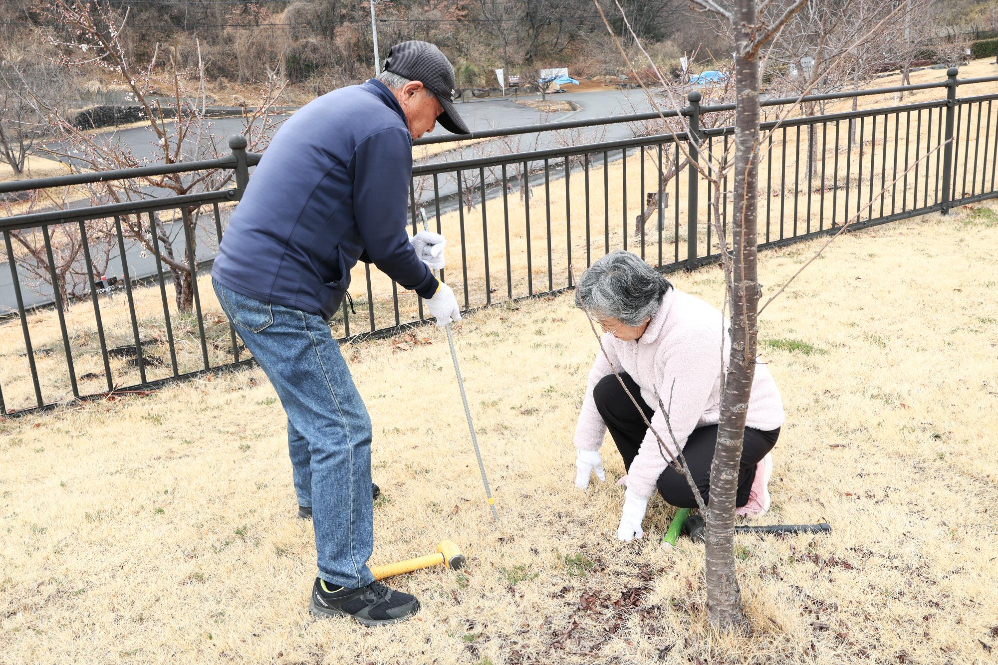 20250311桜の花を守る会1