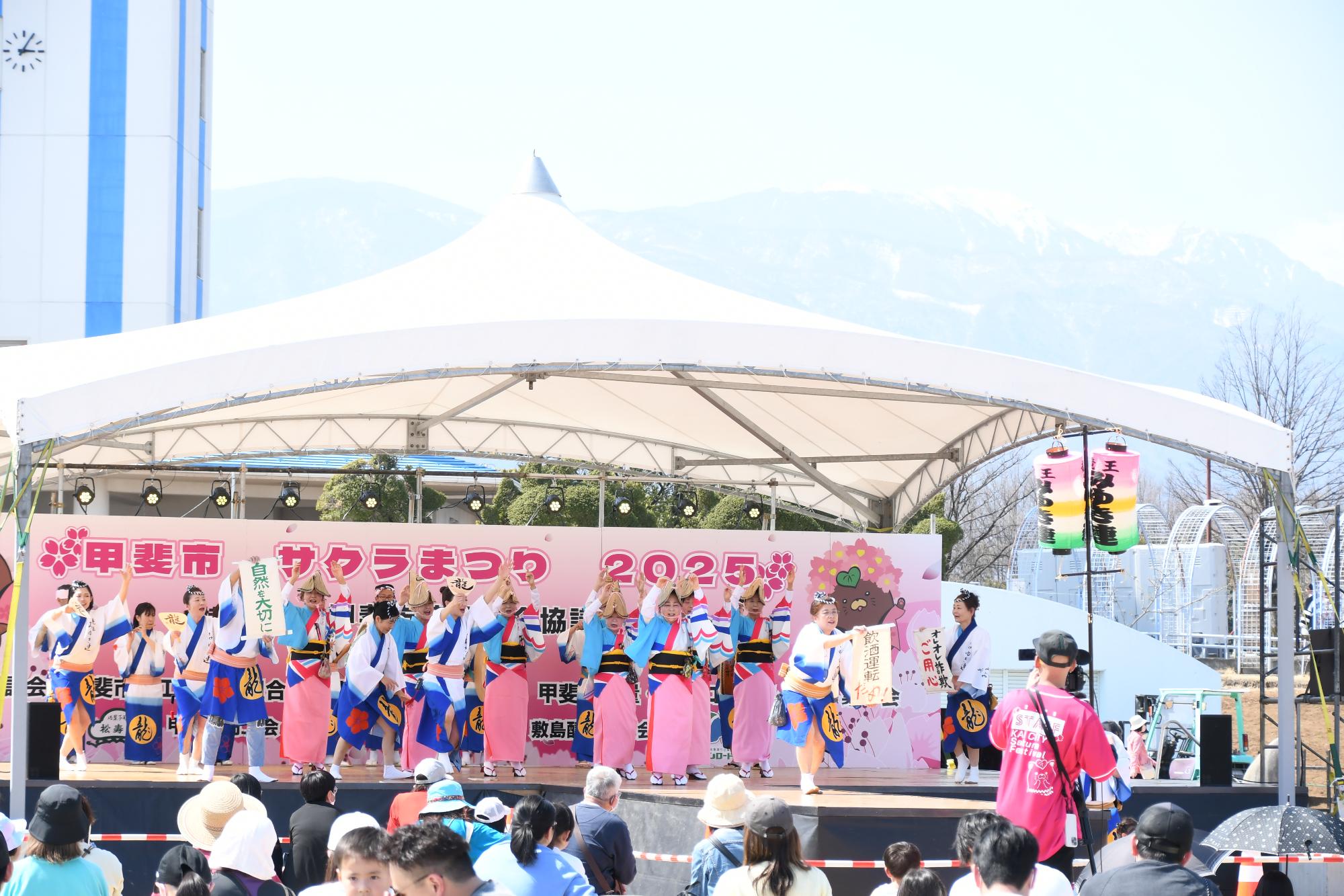 20250323甲斐市サクラまつり14