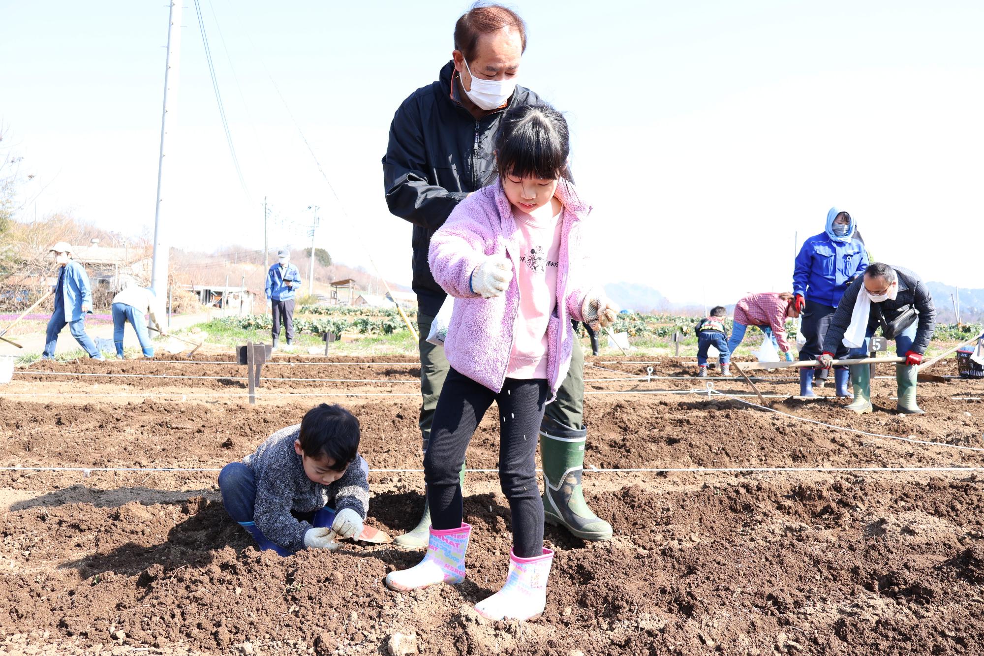 20250322じゃがいも植え付け体験2