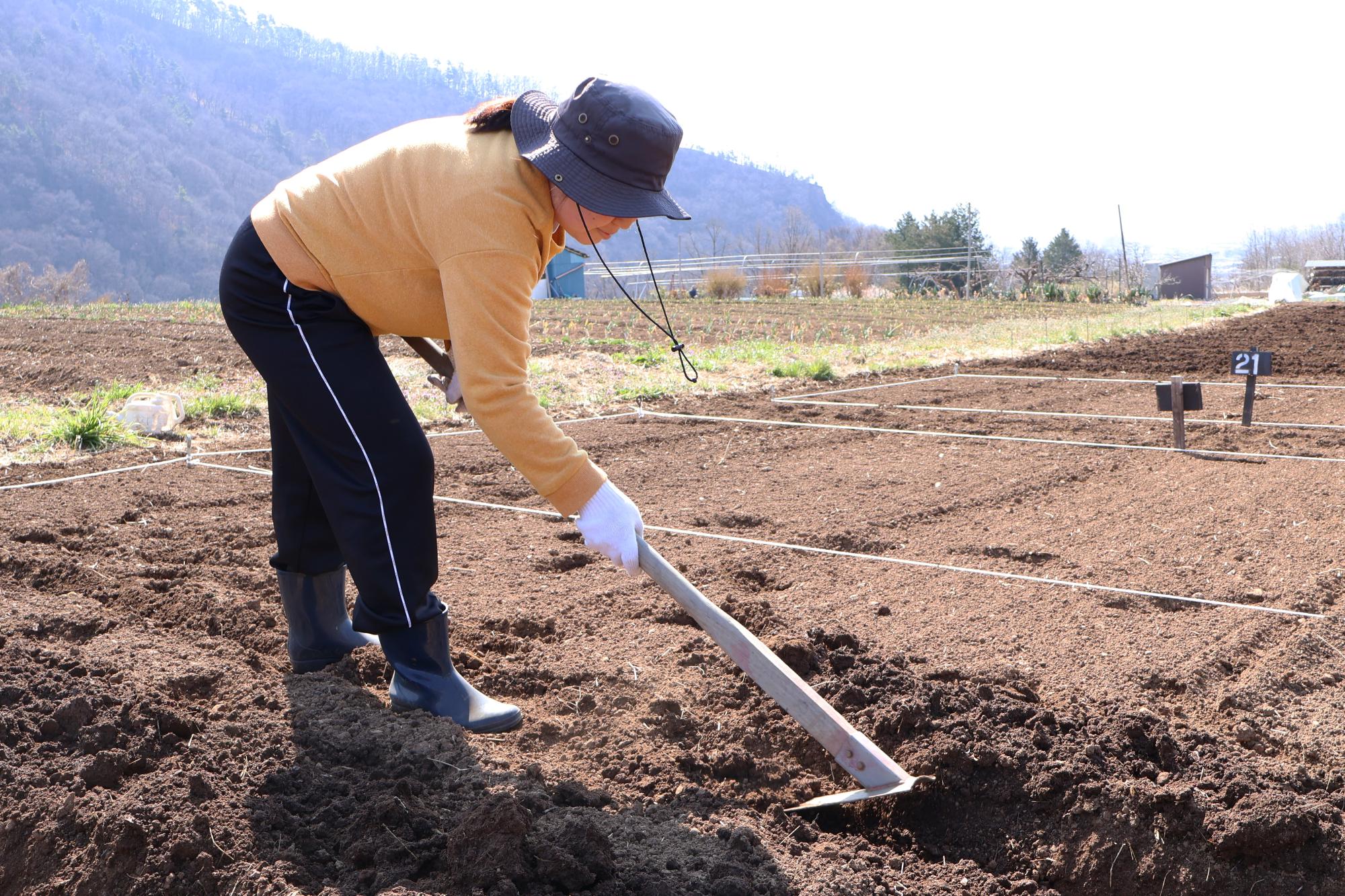 20250322じゃがいも植え付け体験7