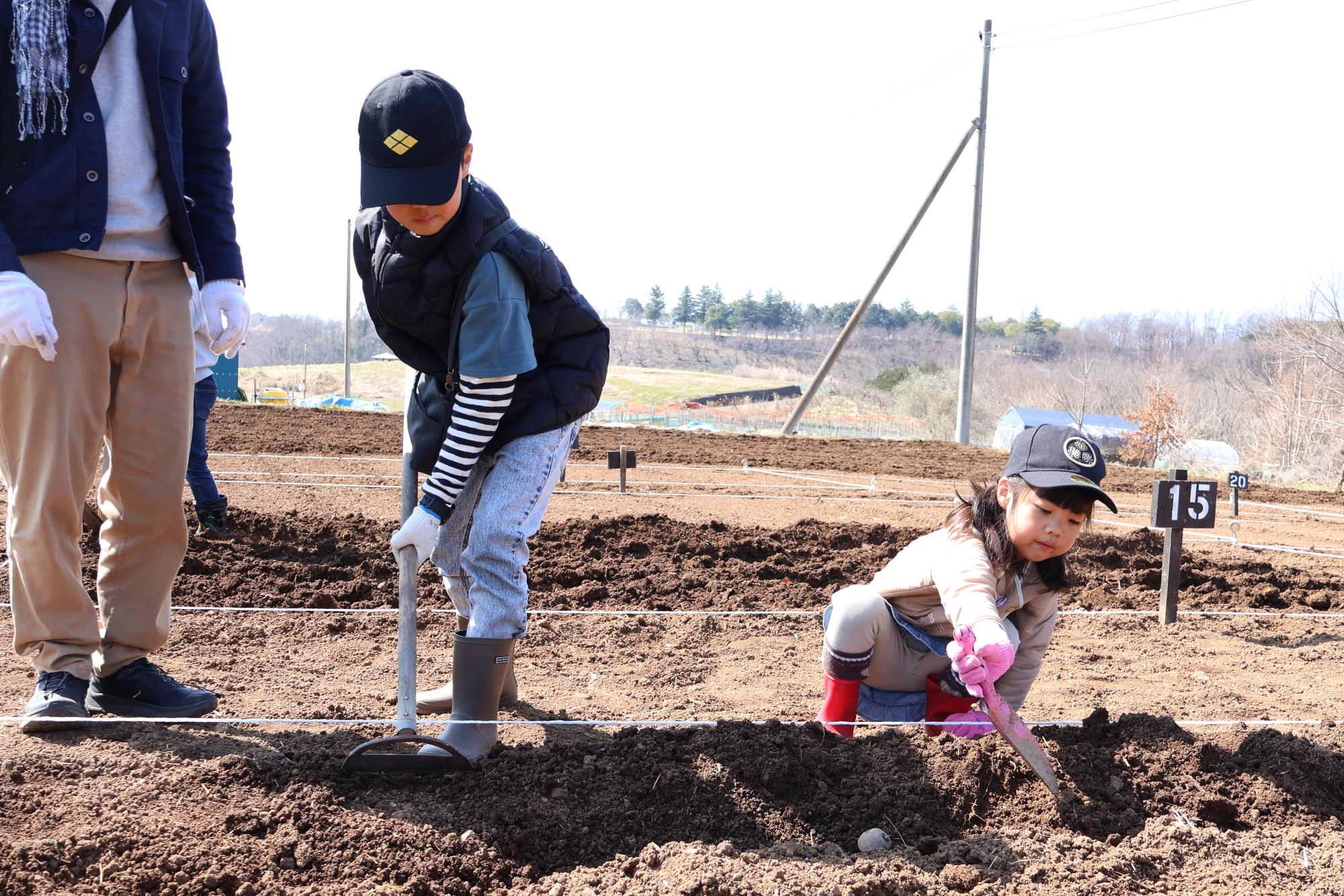 20250322じゃがいも植え付け体験9