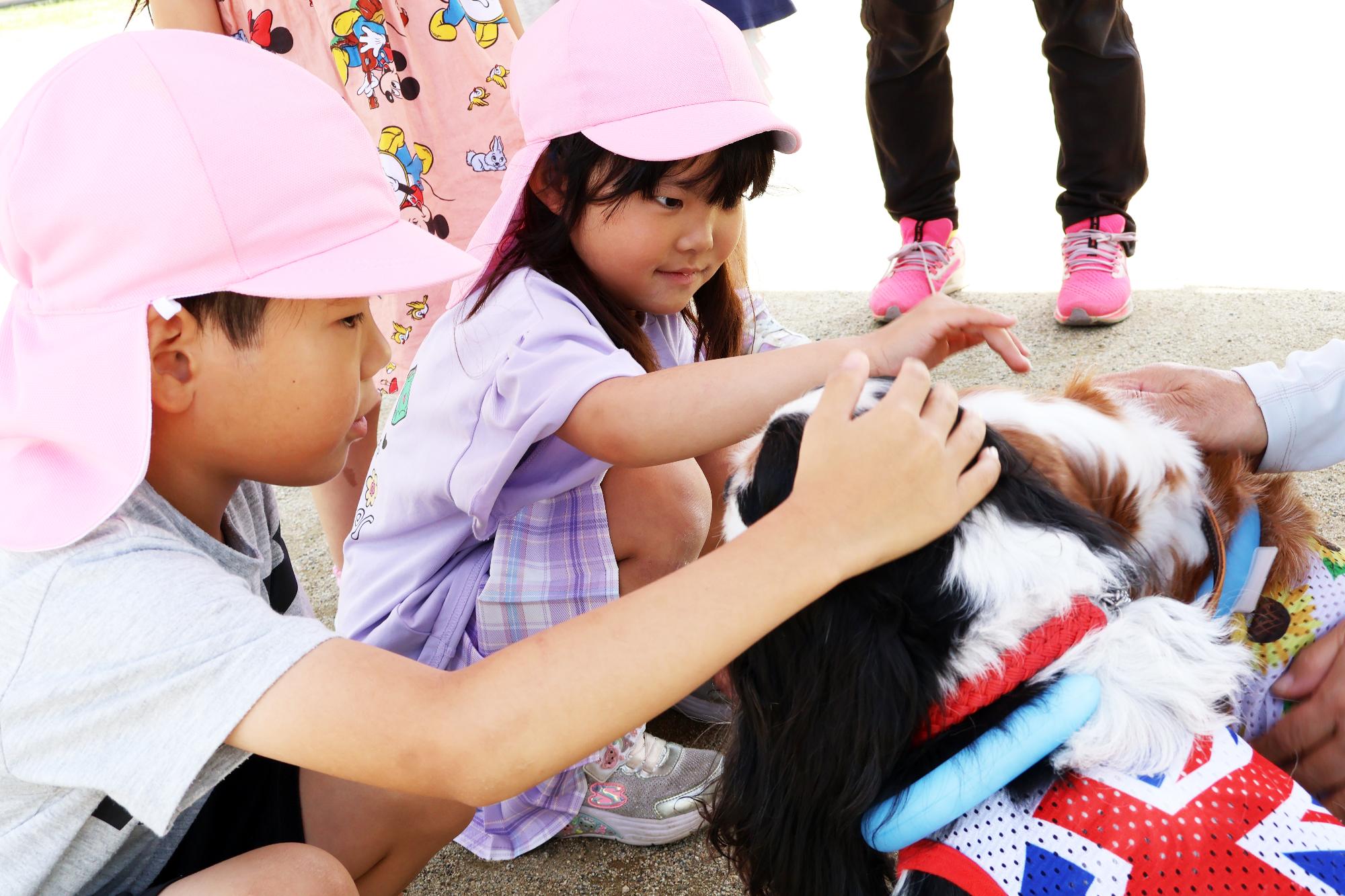 竜王東保育園セラピードッグ6