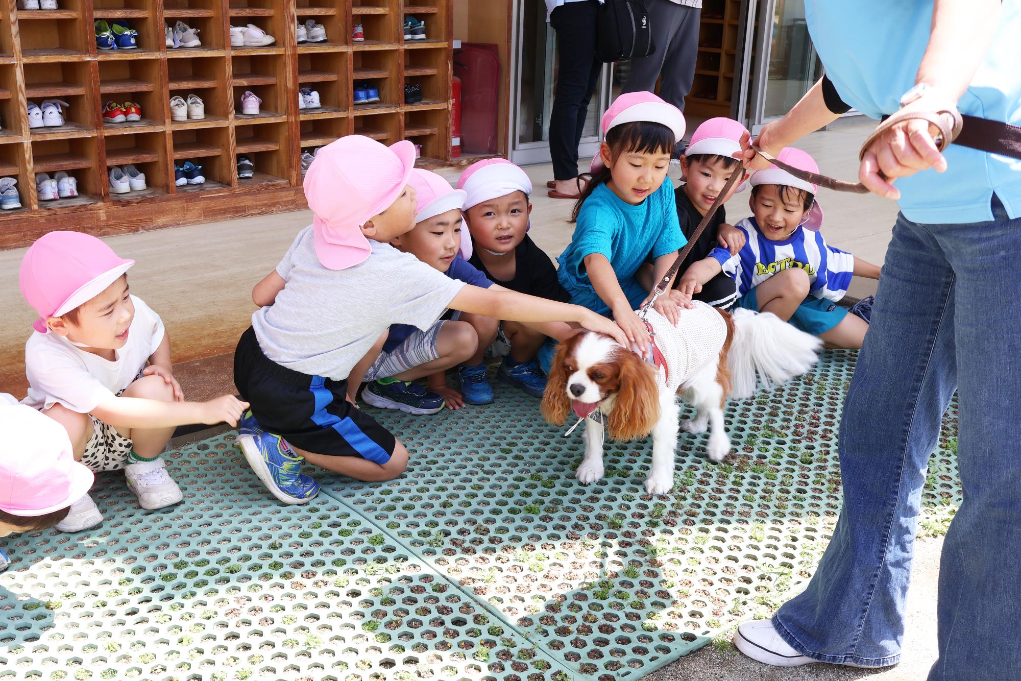 竜王東保育園セラピードッグ11