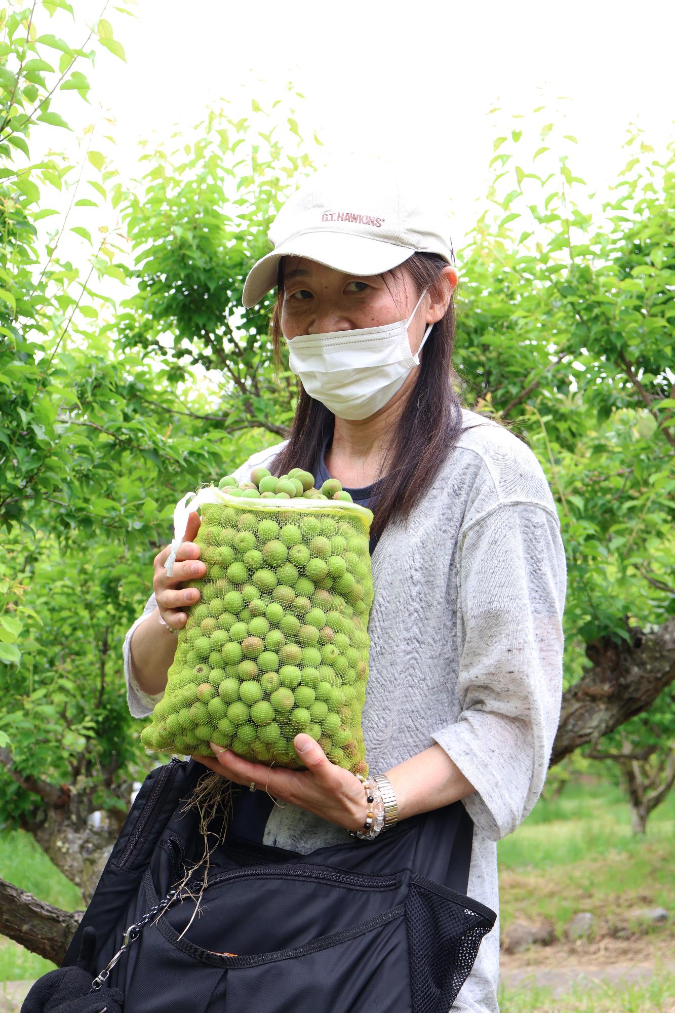 20250518梅もぎ体験7