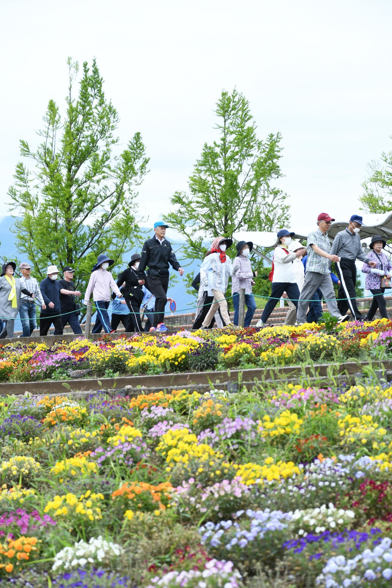 20250526高齢者歩け歩け大会8