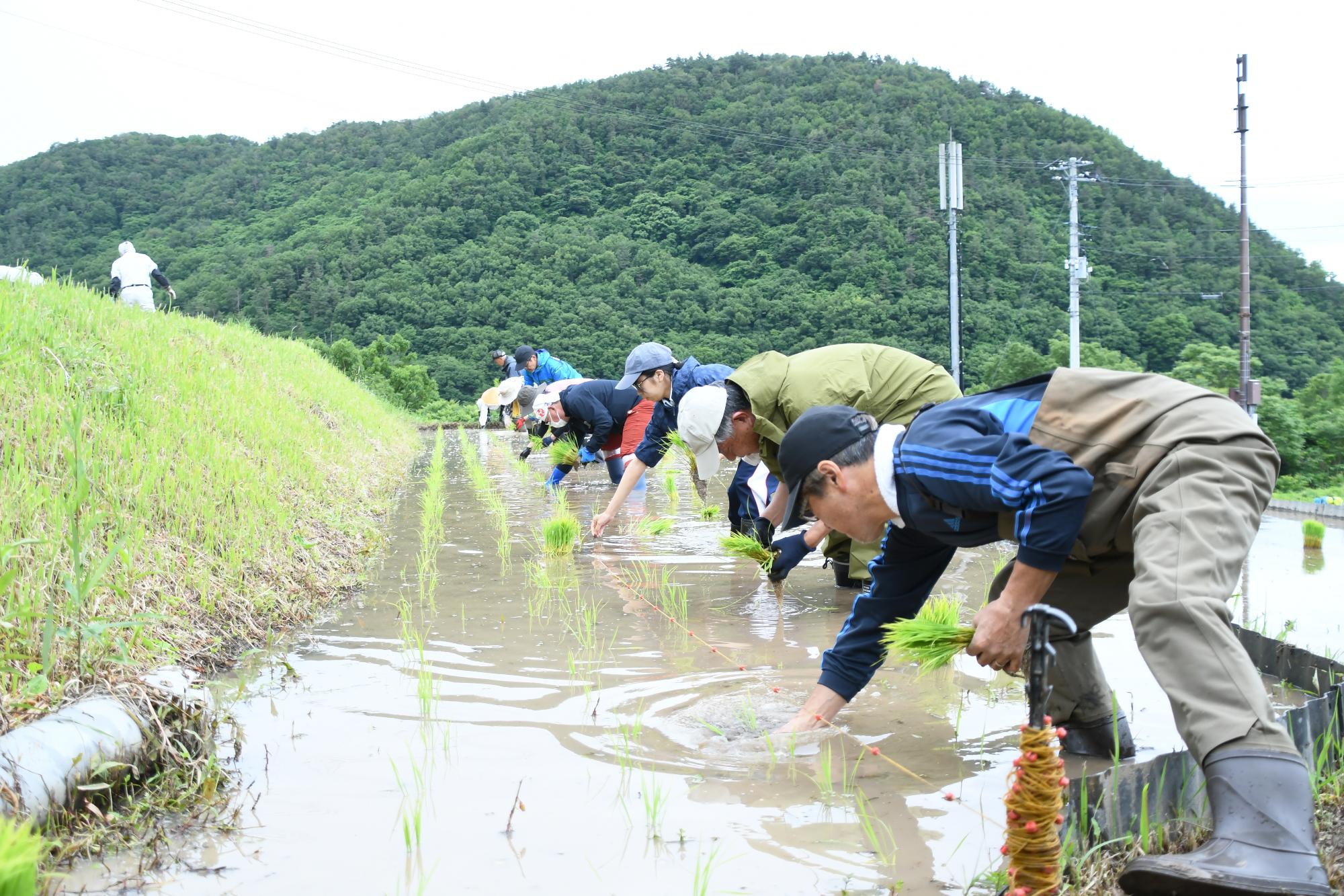 20250531御領棚田の田植え5