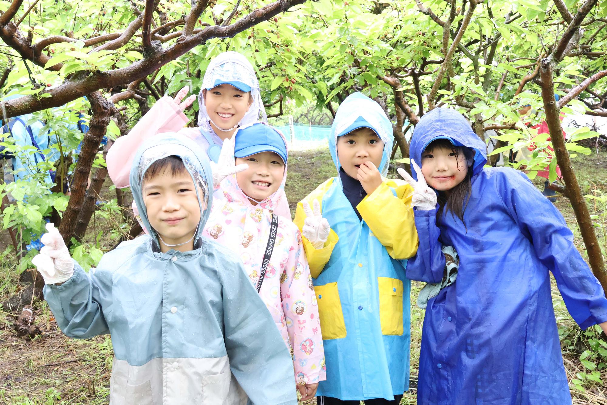 双葉東小学校桑の実摘み体験5