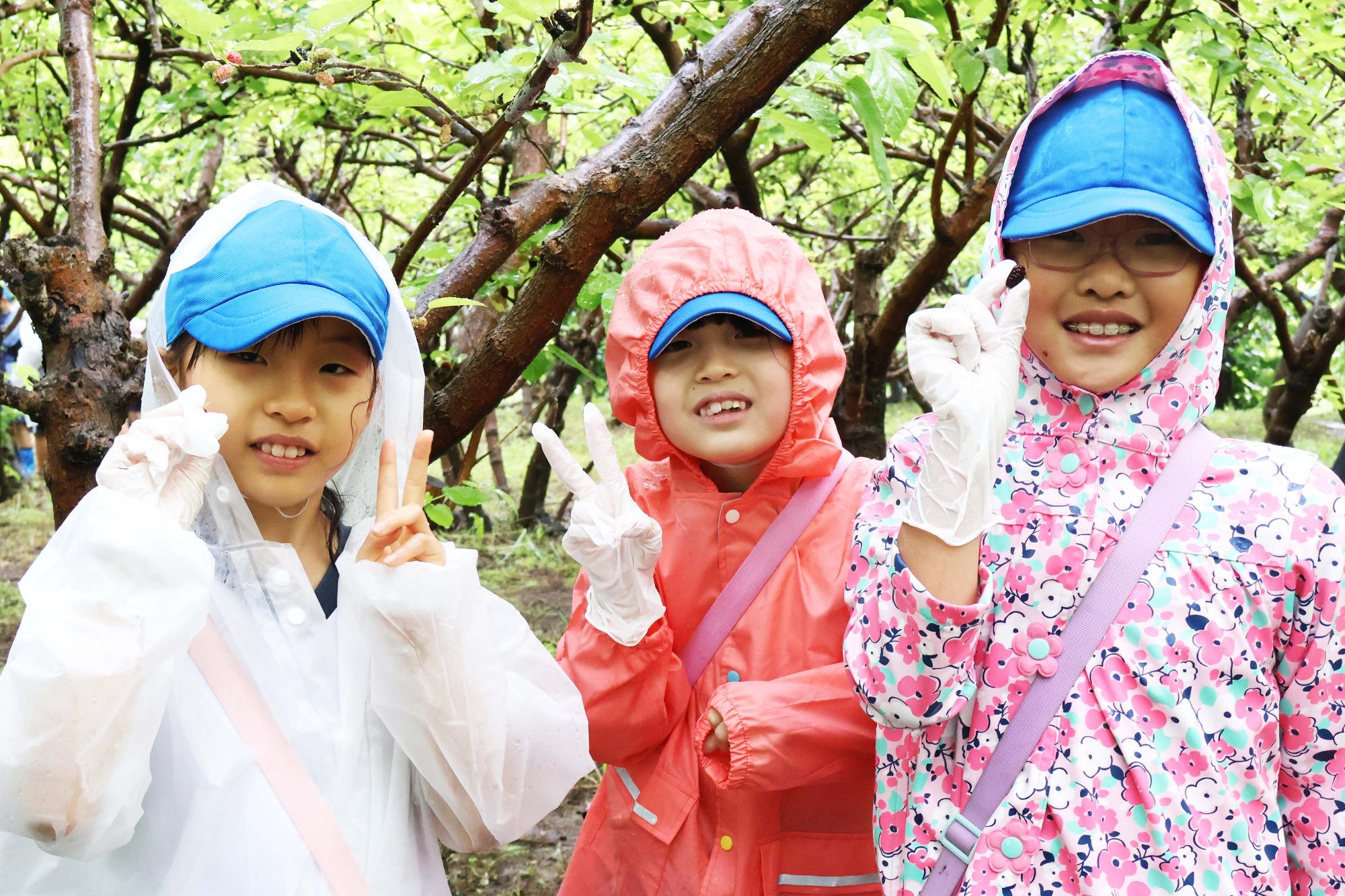 双葉東小学校桑の実摘み体験7