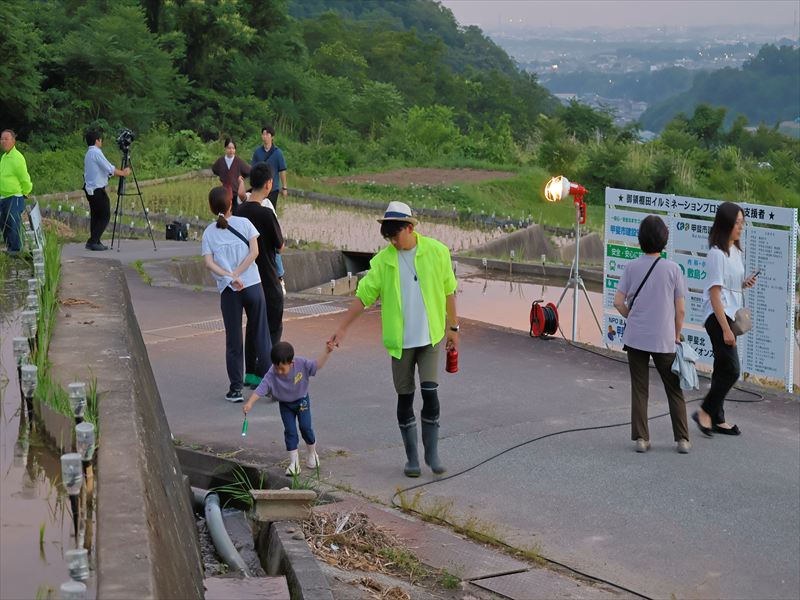 甲斐市の夏の風物詩、棚田のイルミネーション1