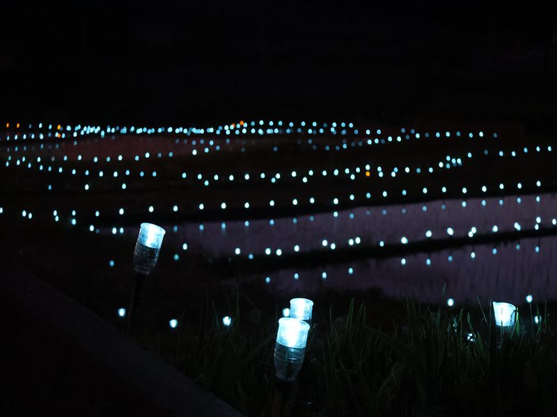 甲斐市の夏の風物詩、棚田のイルミネーション5