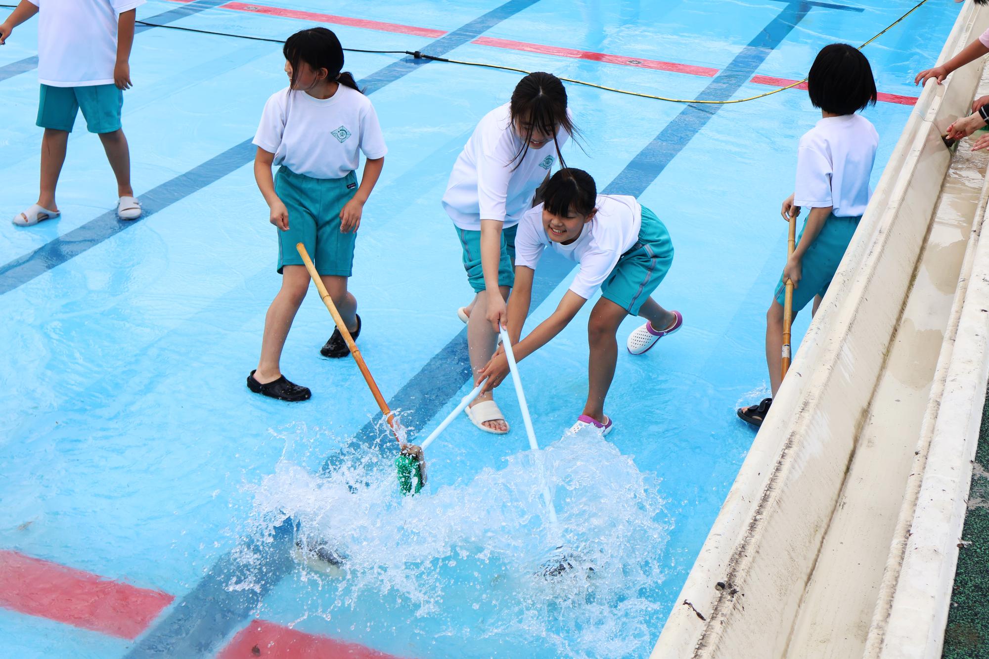 20250604プール清掃8