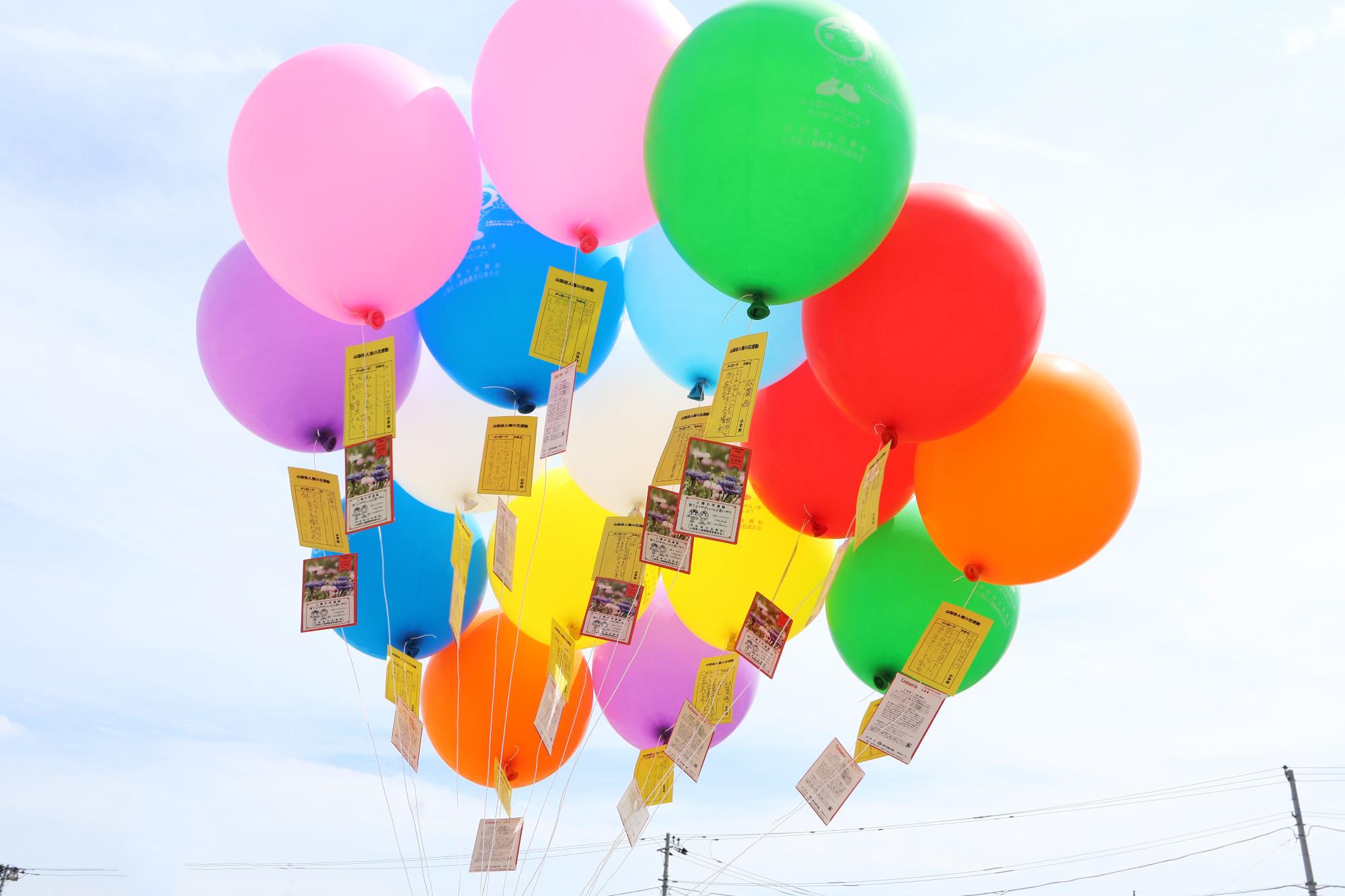 双葉西小学校人権の花5