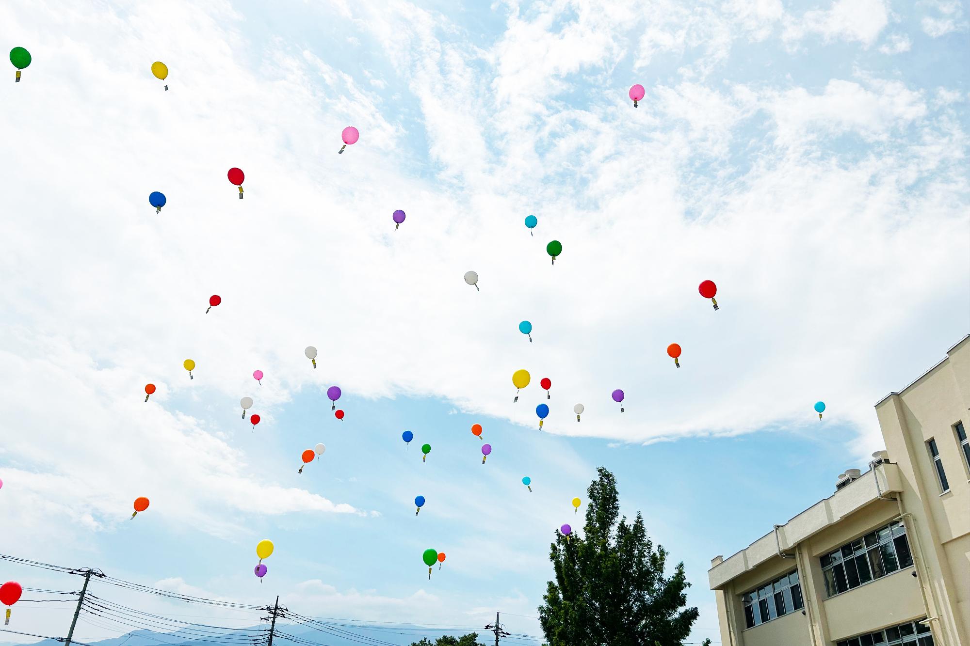 双葉西小学校人権の花10