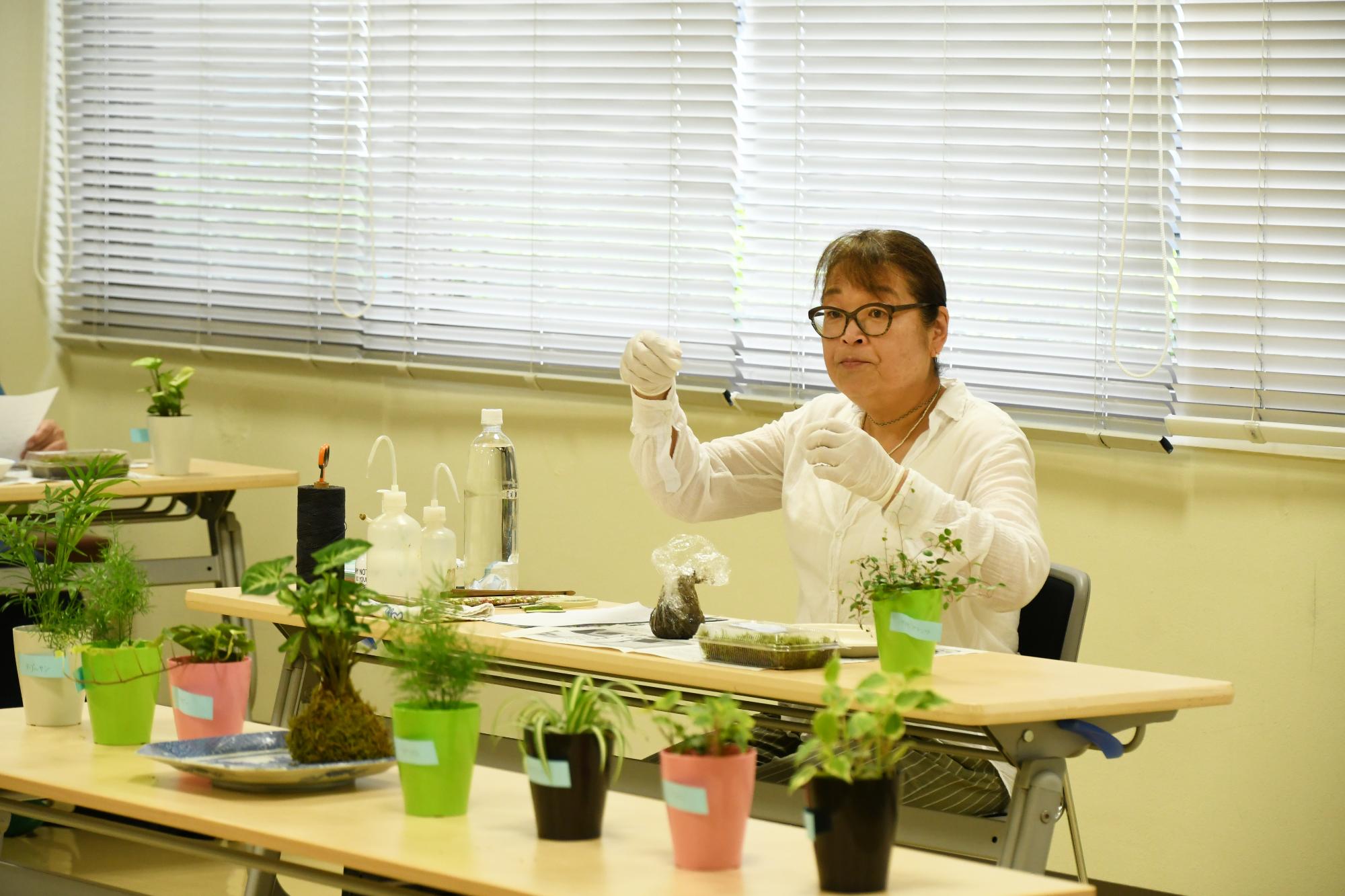 20250624双葉公民館苔玉2