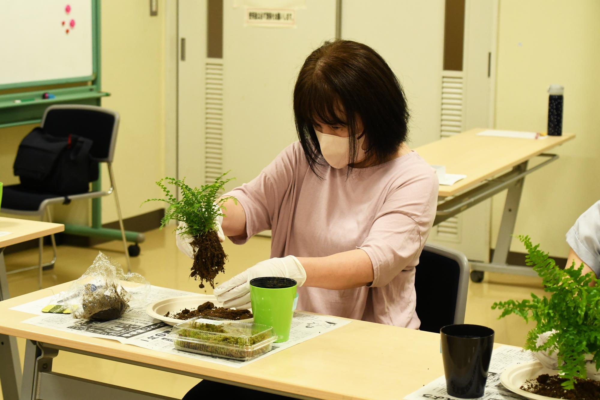 20250624双葉公民館苔玉5