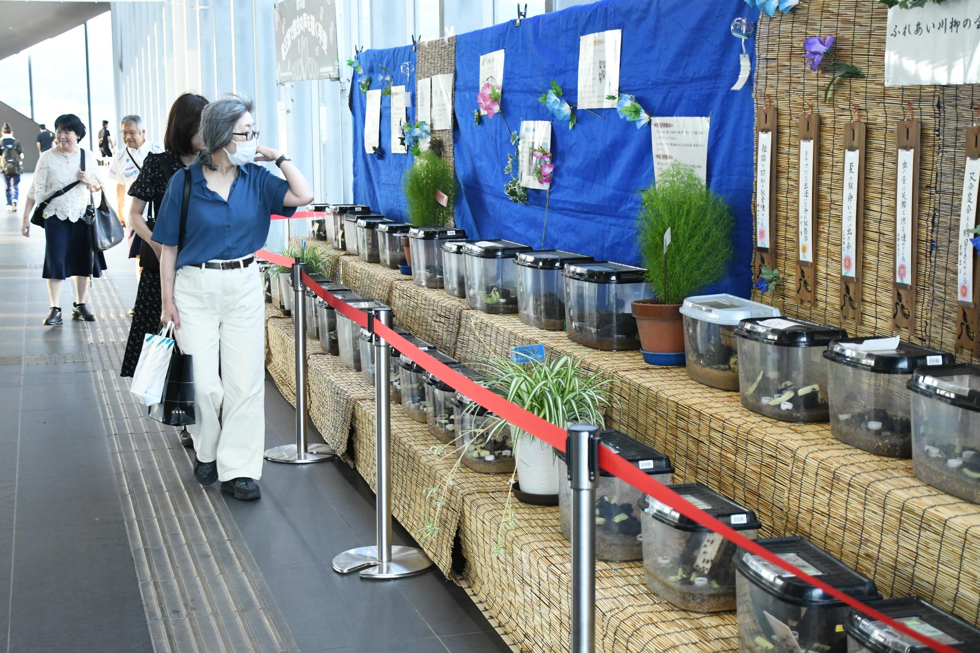 20250803竜王駅で鈴虫の声を聴く甲斐2