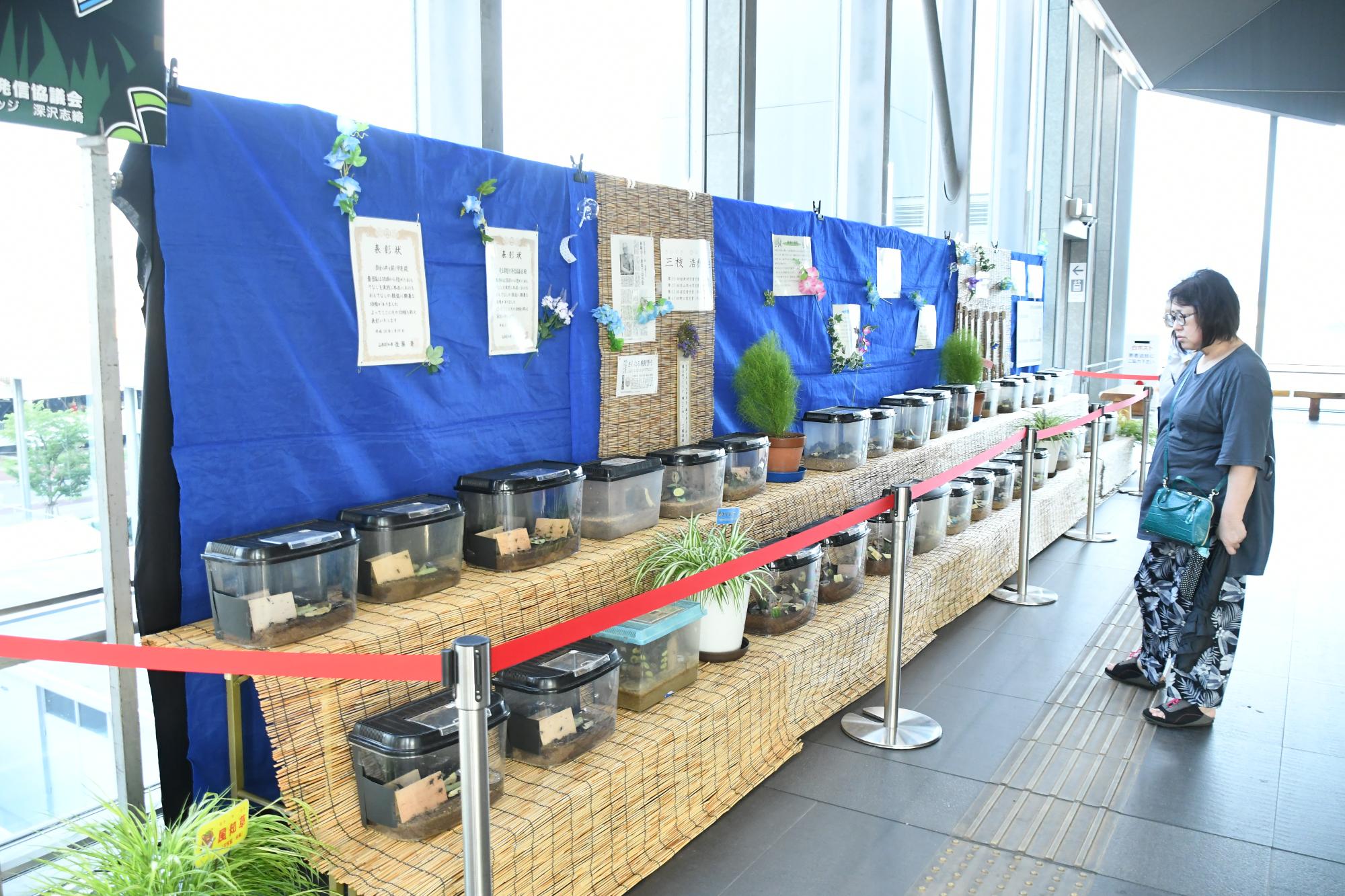 20250803竜王駅で鈴虫の声を聴く甲斐3