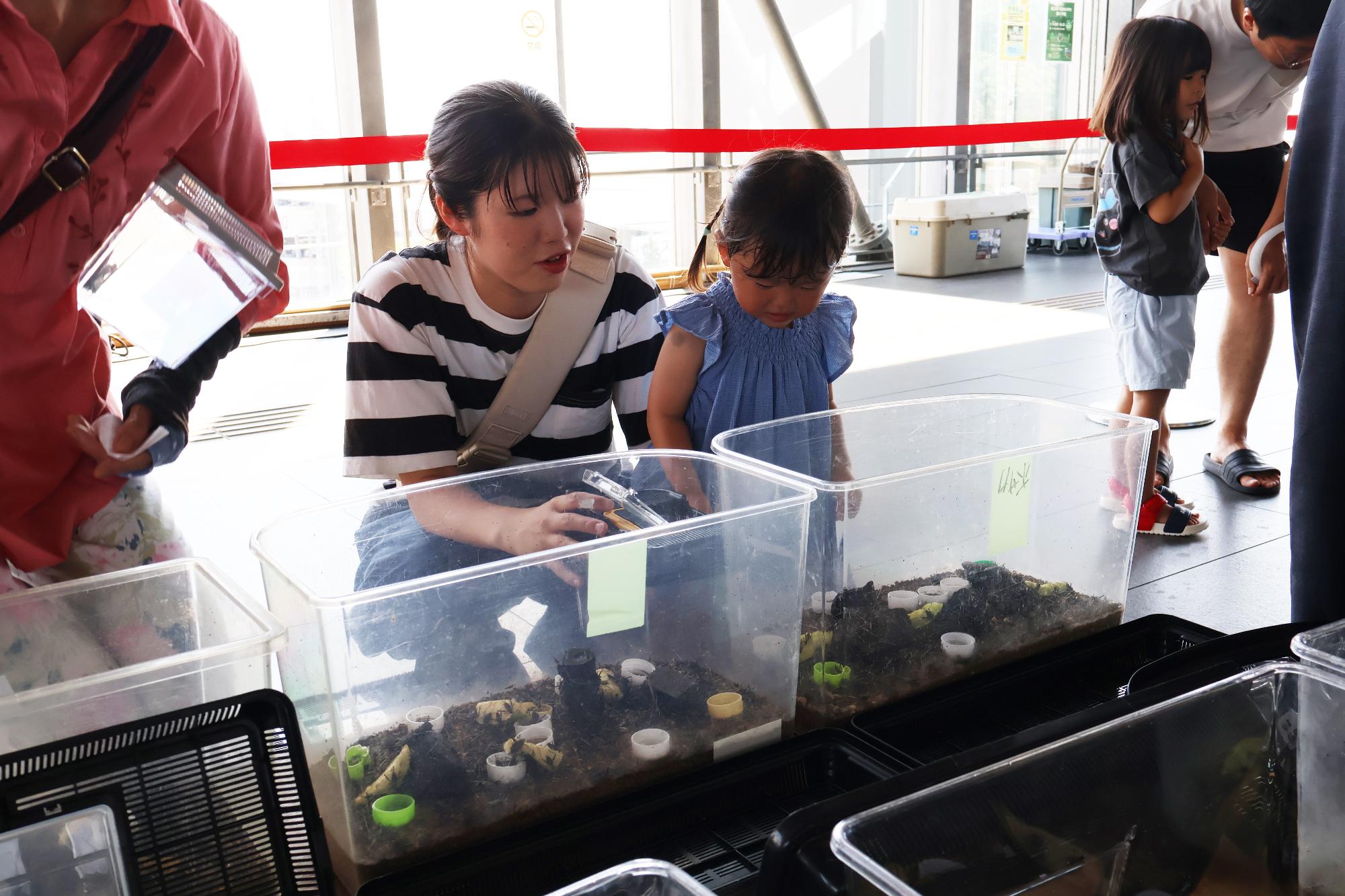 20250803竜王駅で鈴虫の声を聴く甲斐9