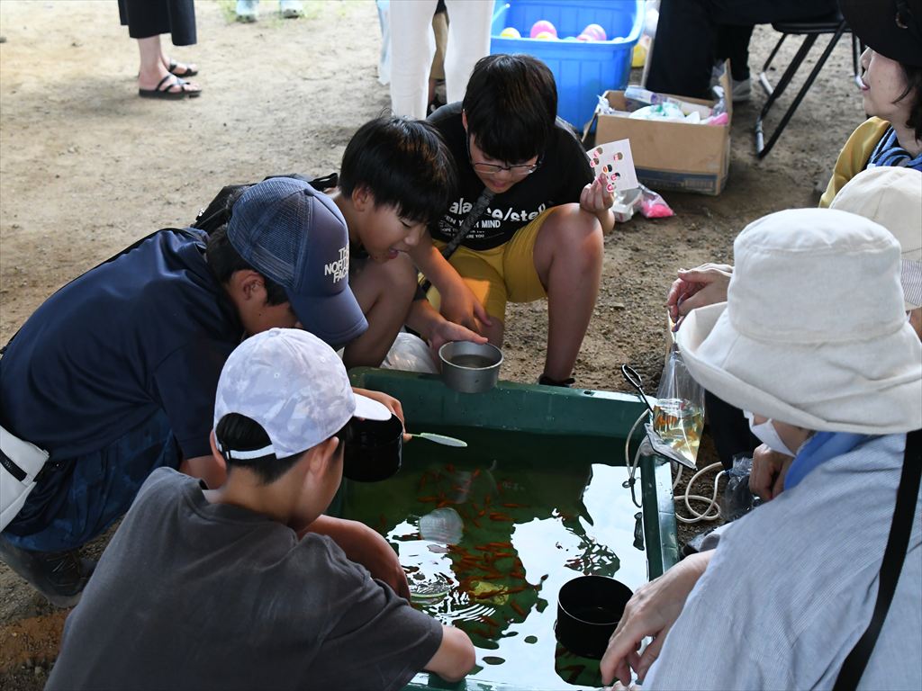 金魚すくいは難しいねえ。