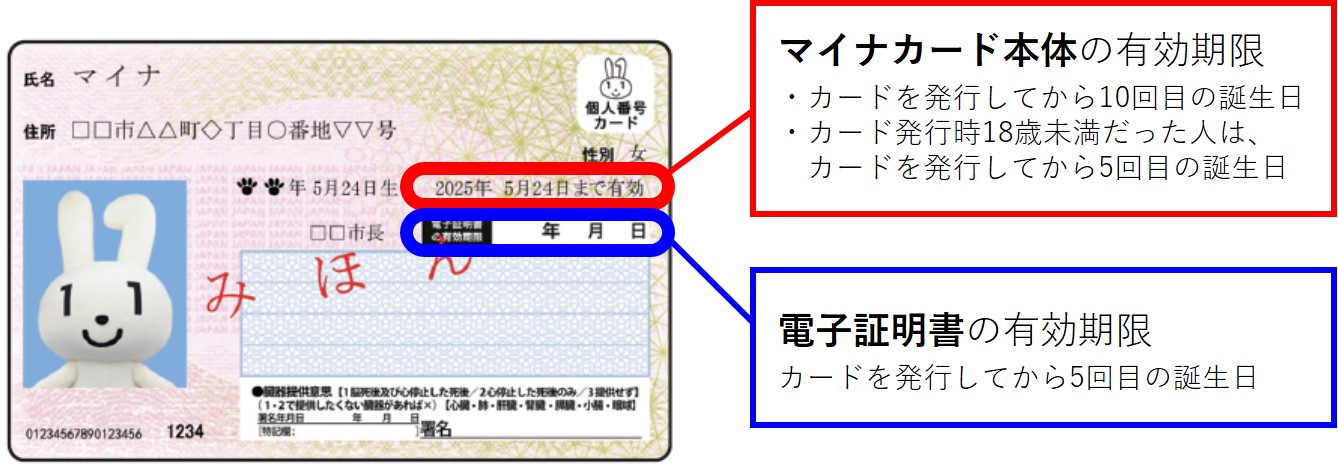 有効期限記載見本の写真
