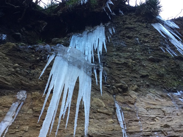 山肌のつららの様子の写真1