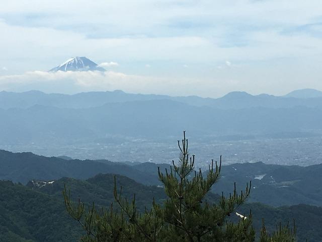 (写真)山頂から見える景色(2枚目)