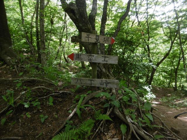 (写真)登山道にある行き先を案内する看板