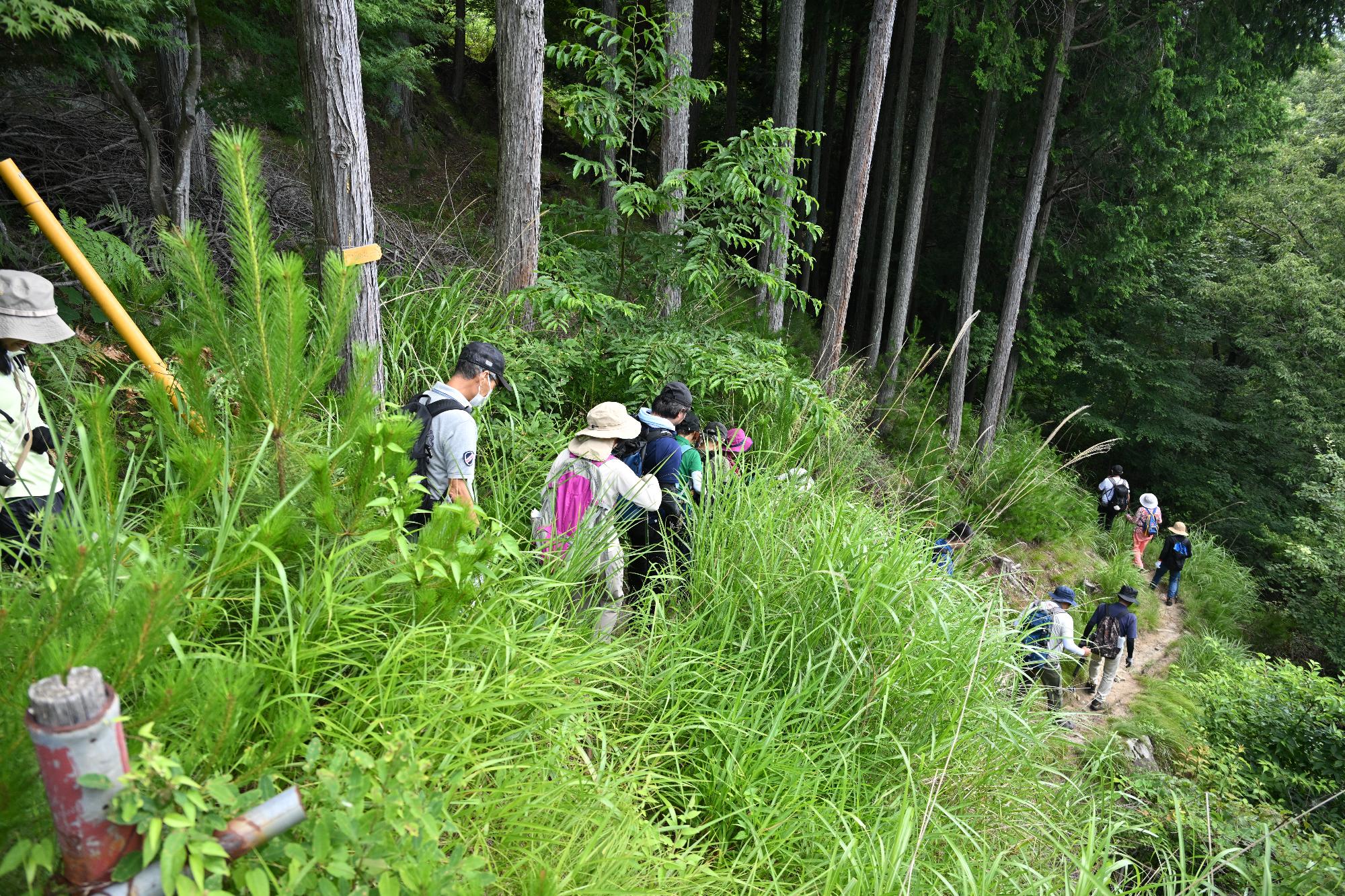 山歩き開始の写真