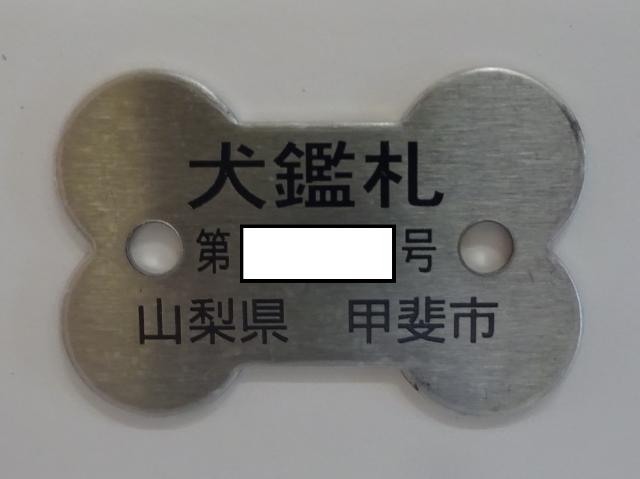 犬の鑑札の写真