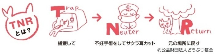 TNRとは