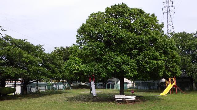竜王南部公園の写真 2