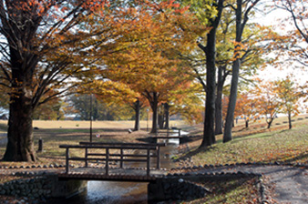 信玄堤公園の写真