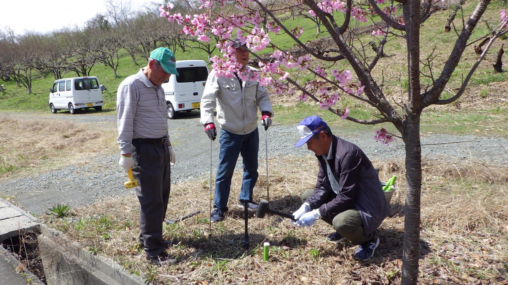 肥料を打ち込んでいる様子１